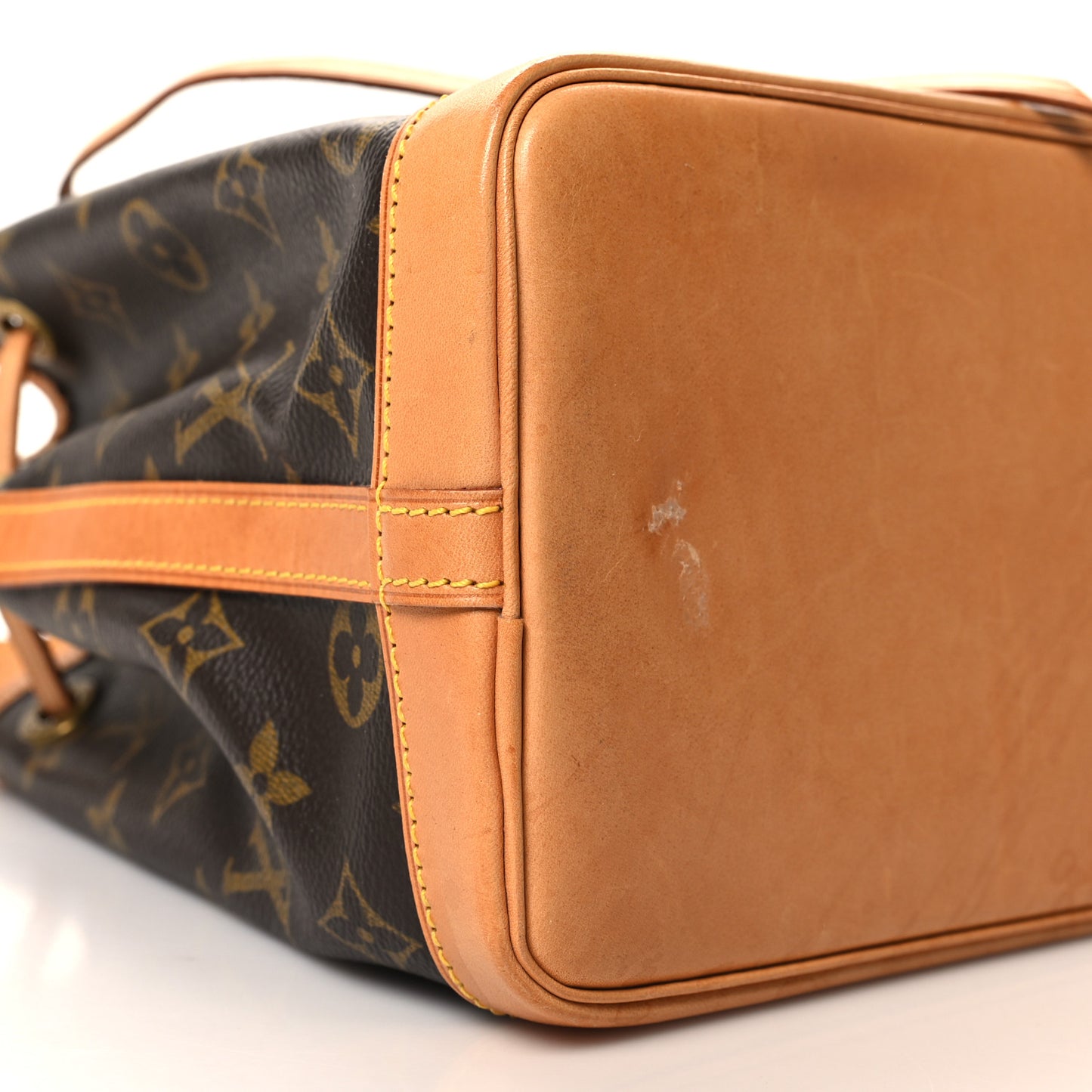 Monogram Mini Noe