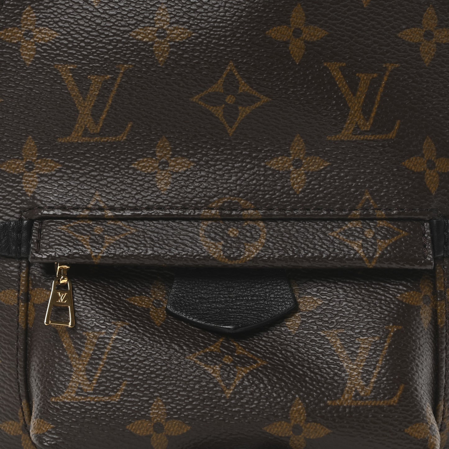 Monogram Palm Springs Backpack Mini