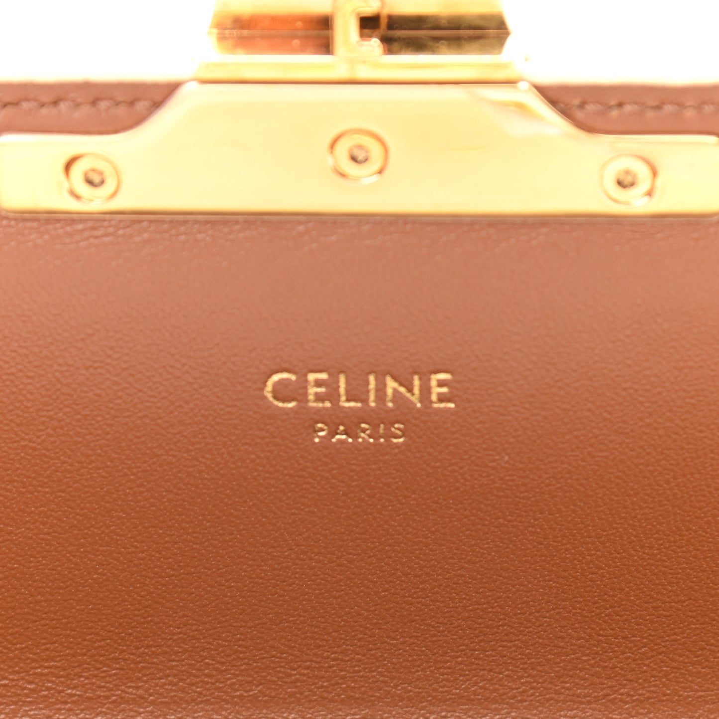 Canvas Calfskin Triomphe Shoulder Bag White