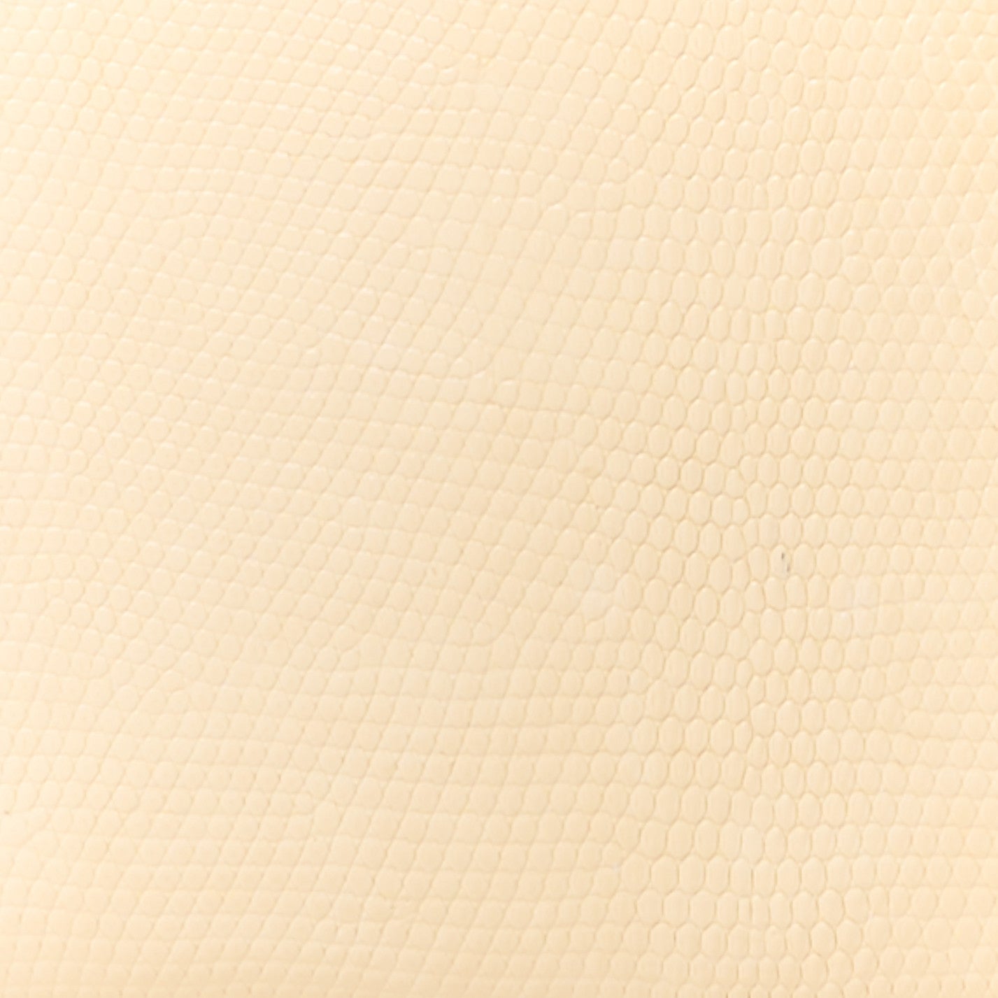 Lizard Mini Lady Dior White