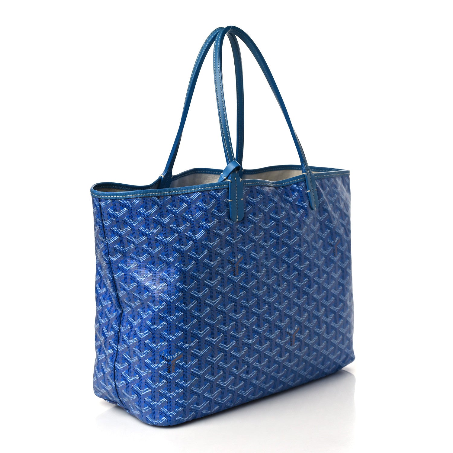 Goyard Goyardine Saint Louis PM Sky Blue 3 of 10