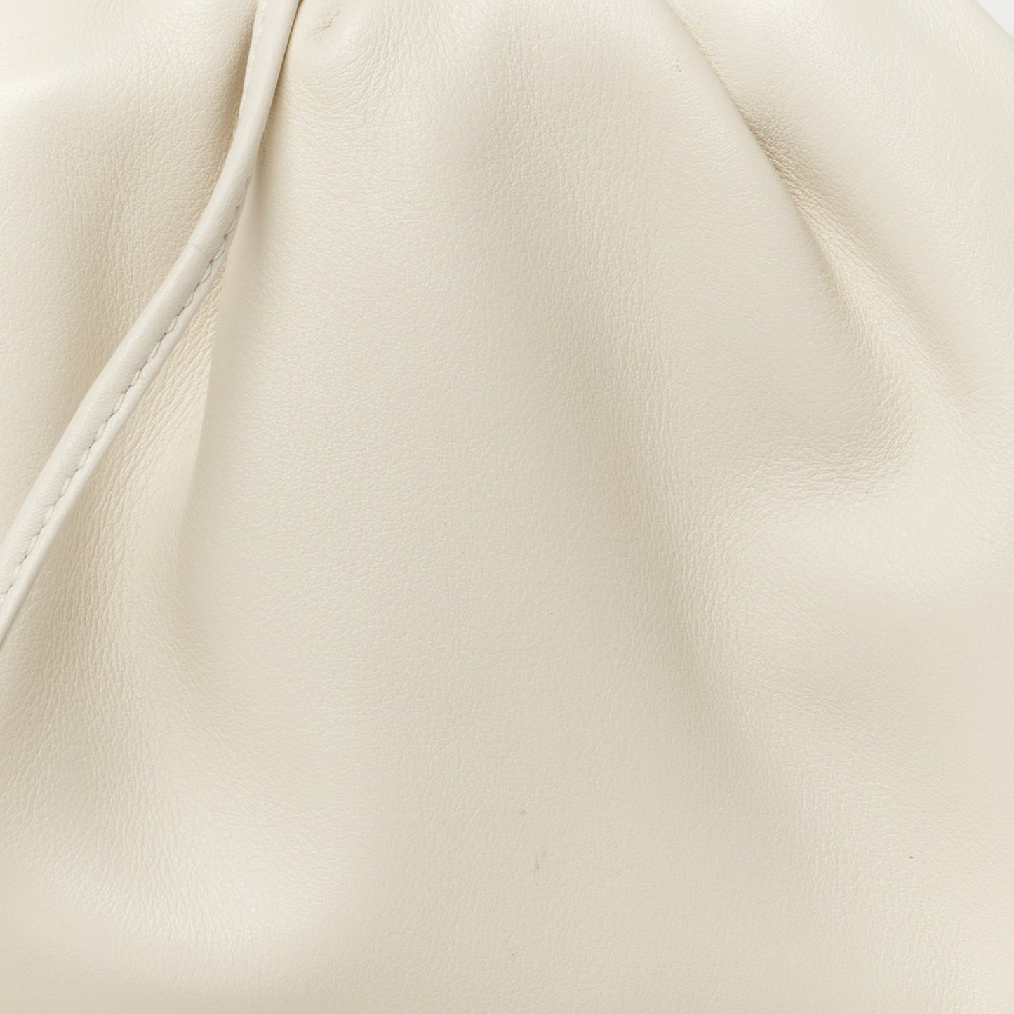Butter Calfskin The Mini Pouch Plaster