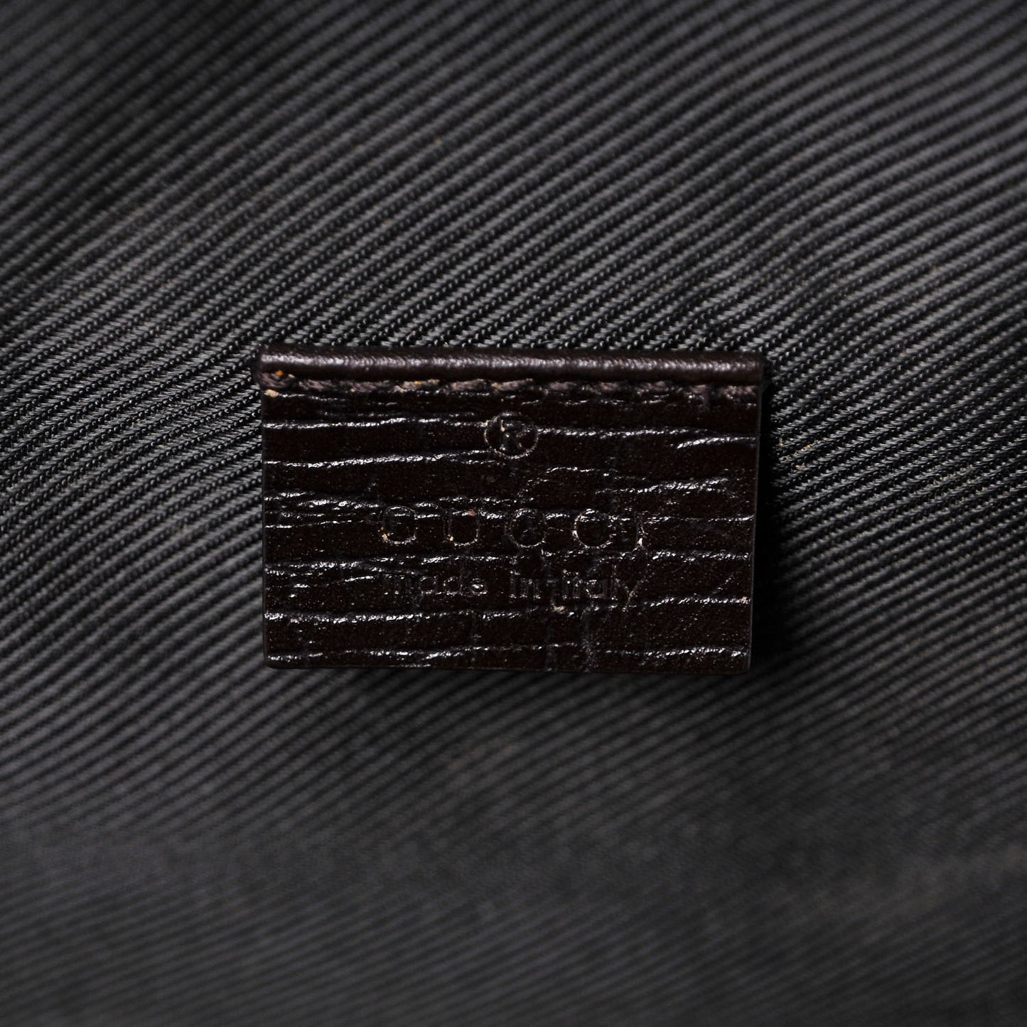 Monogram Web Dog Carrier