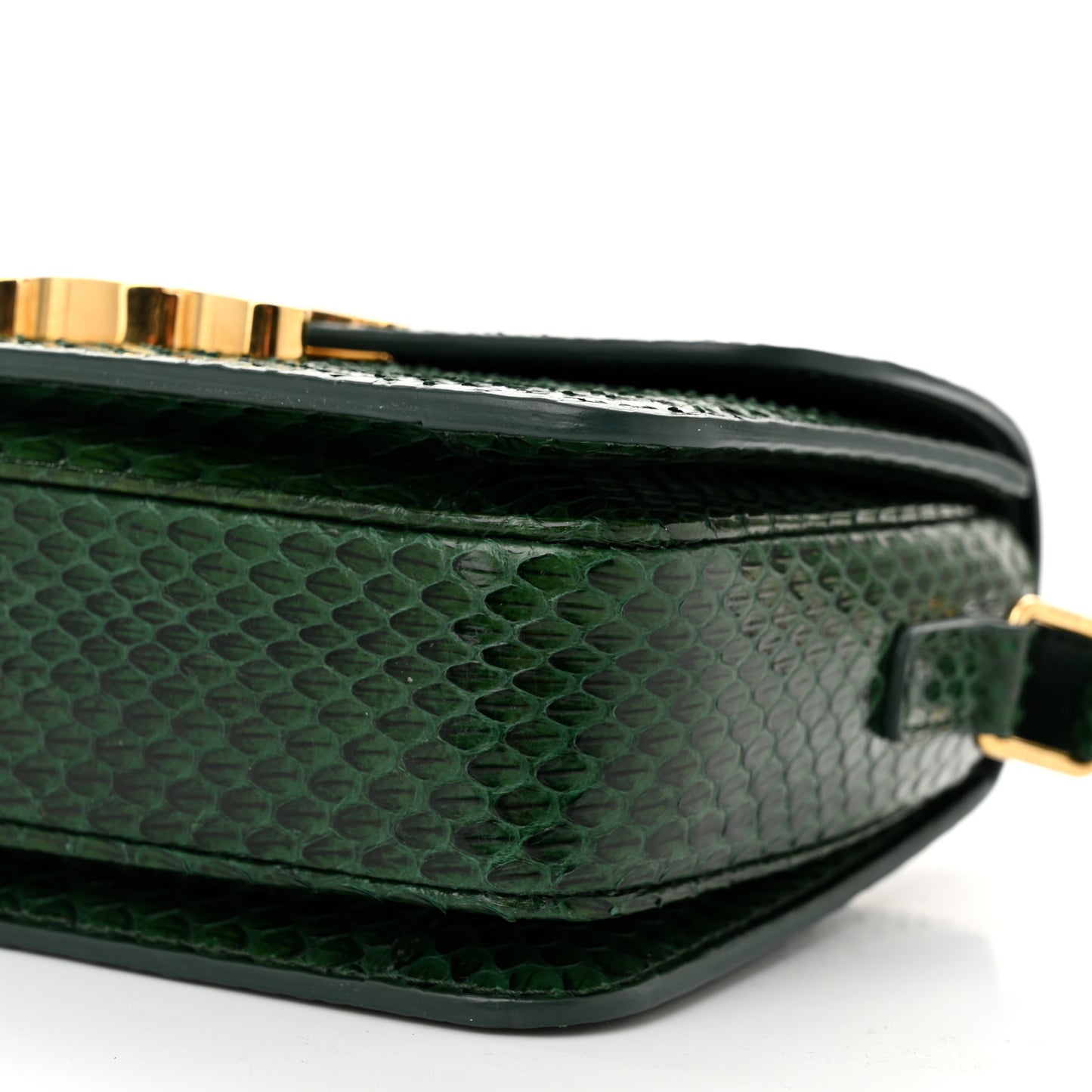 Watersnake Teen Triomphe Green