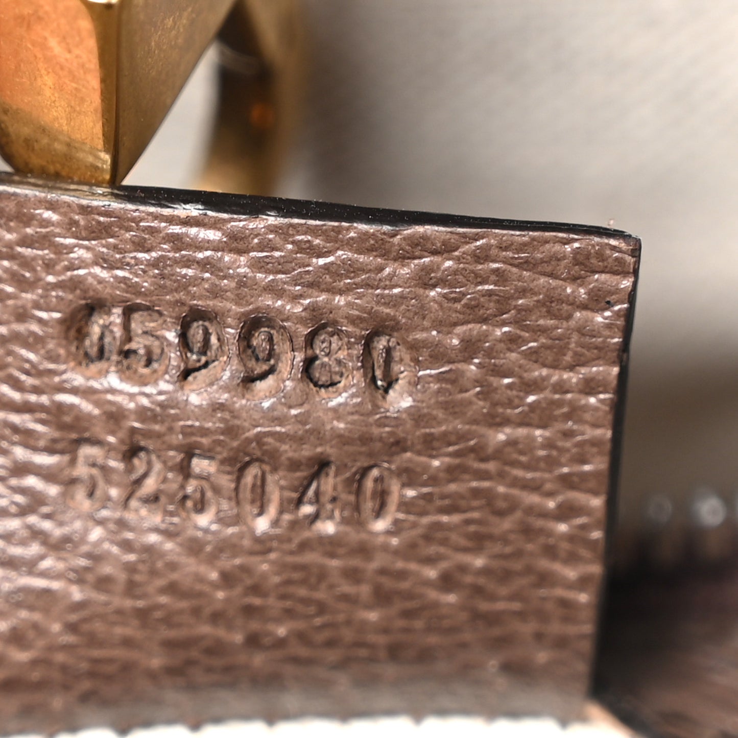 Maxi GG Supreme Monogram Pineapple Textured Dollar Calfskin Medium Retro Interlocking G Tote Bag Beige Ebony Green Pink New Acero