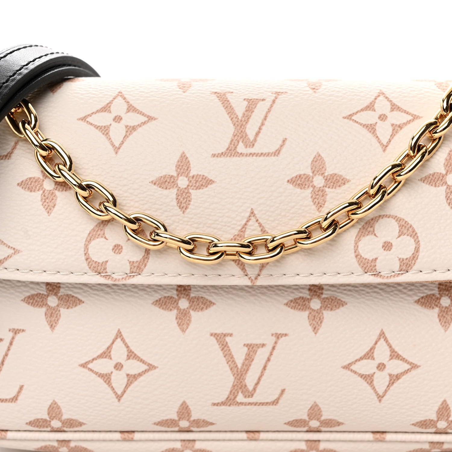 Louis Vuitton Monogram Dune Ivy Wallet On Chain 7 of 9