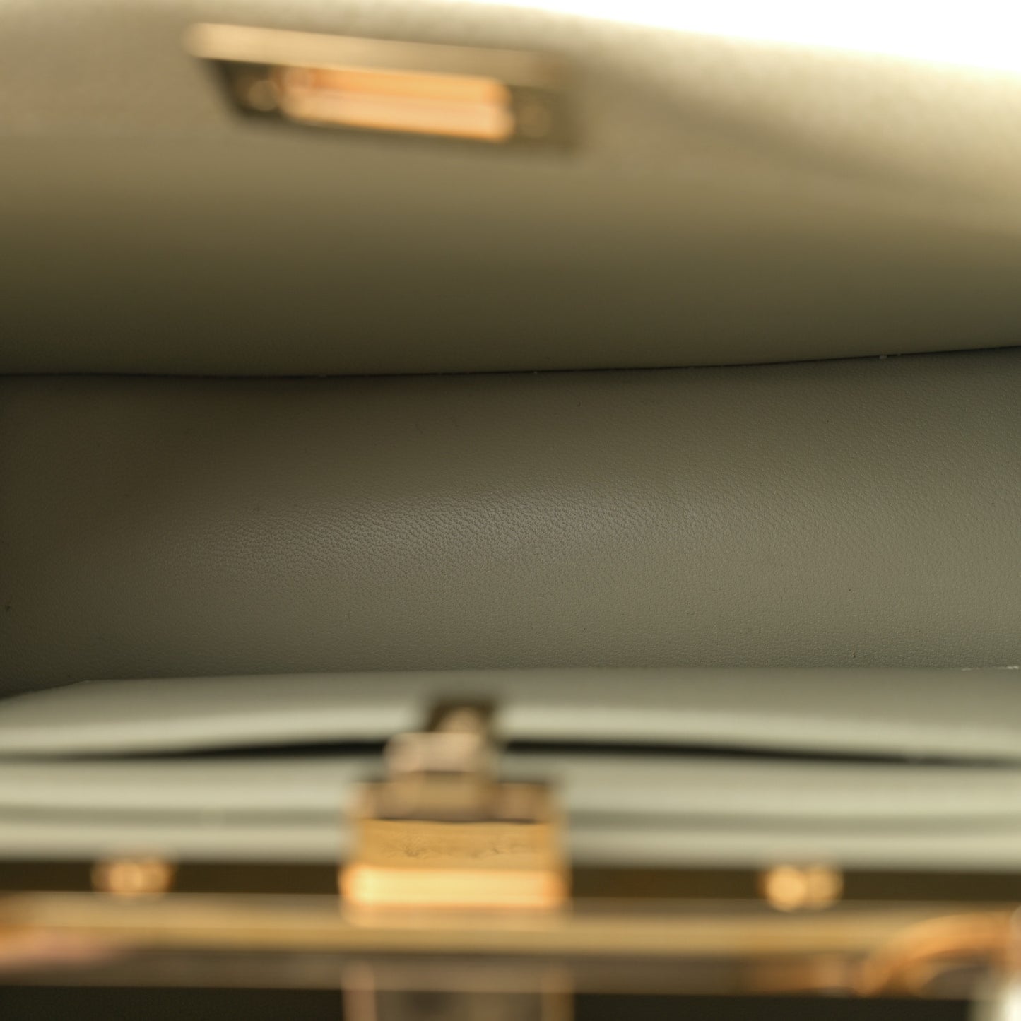 Stingray Shiny Nappa Petite Peekaboo I SEE U Satchel Green