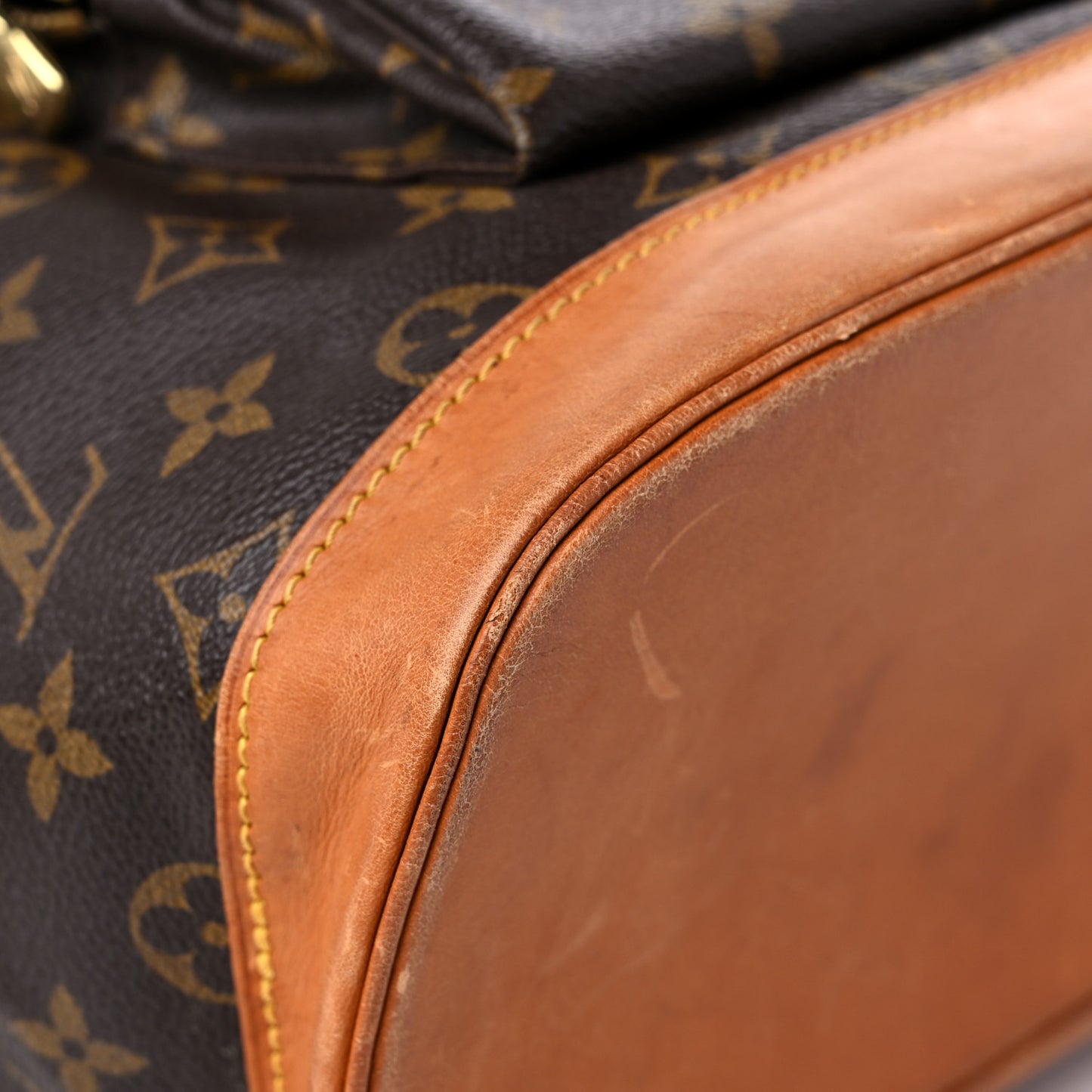 Monogram Montsouris GM Backpack
