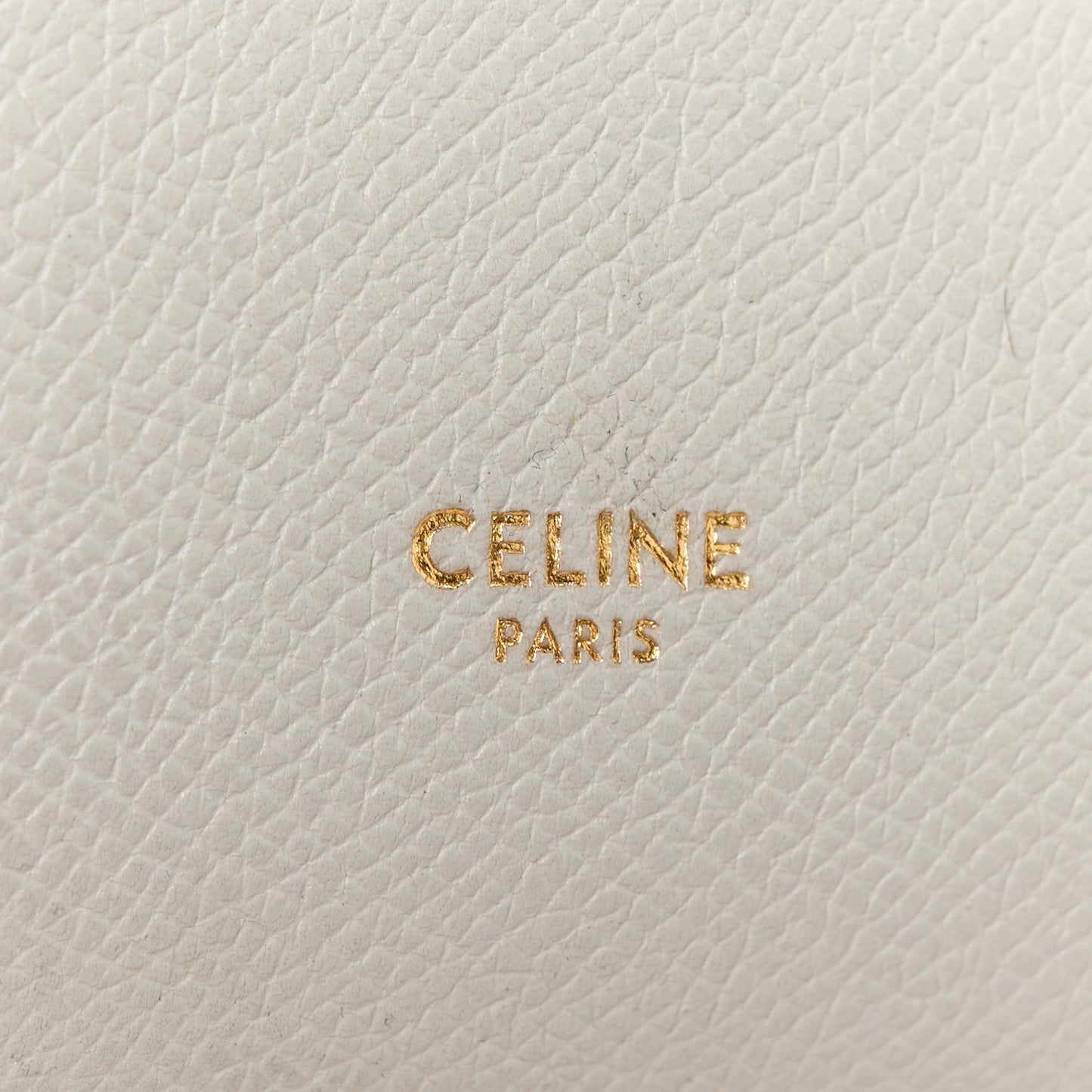 Grained Calfskin Nano Belt Bag Jade