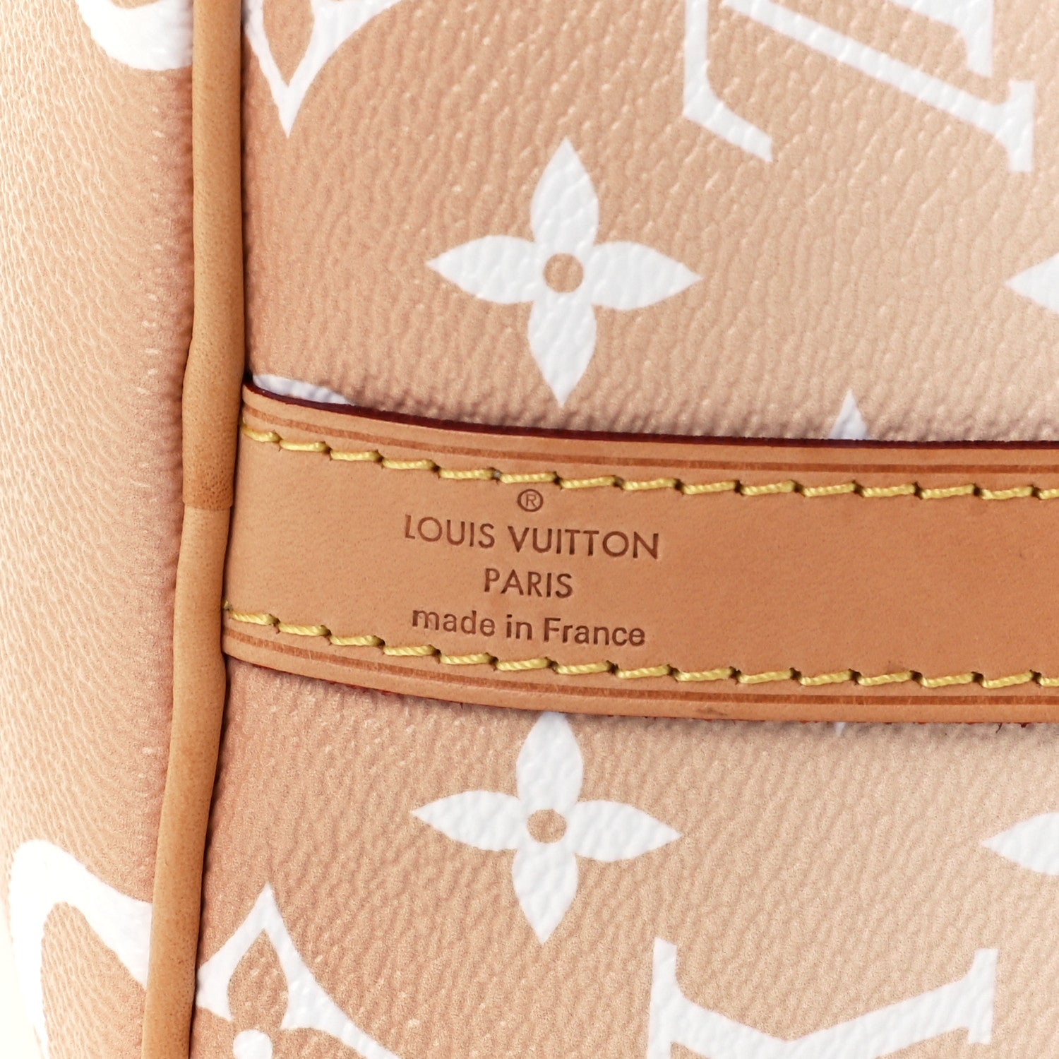 Louis Vuitton Monogram Giant By The Pool Speedy Bandouliere 25 Brume 7 of 11