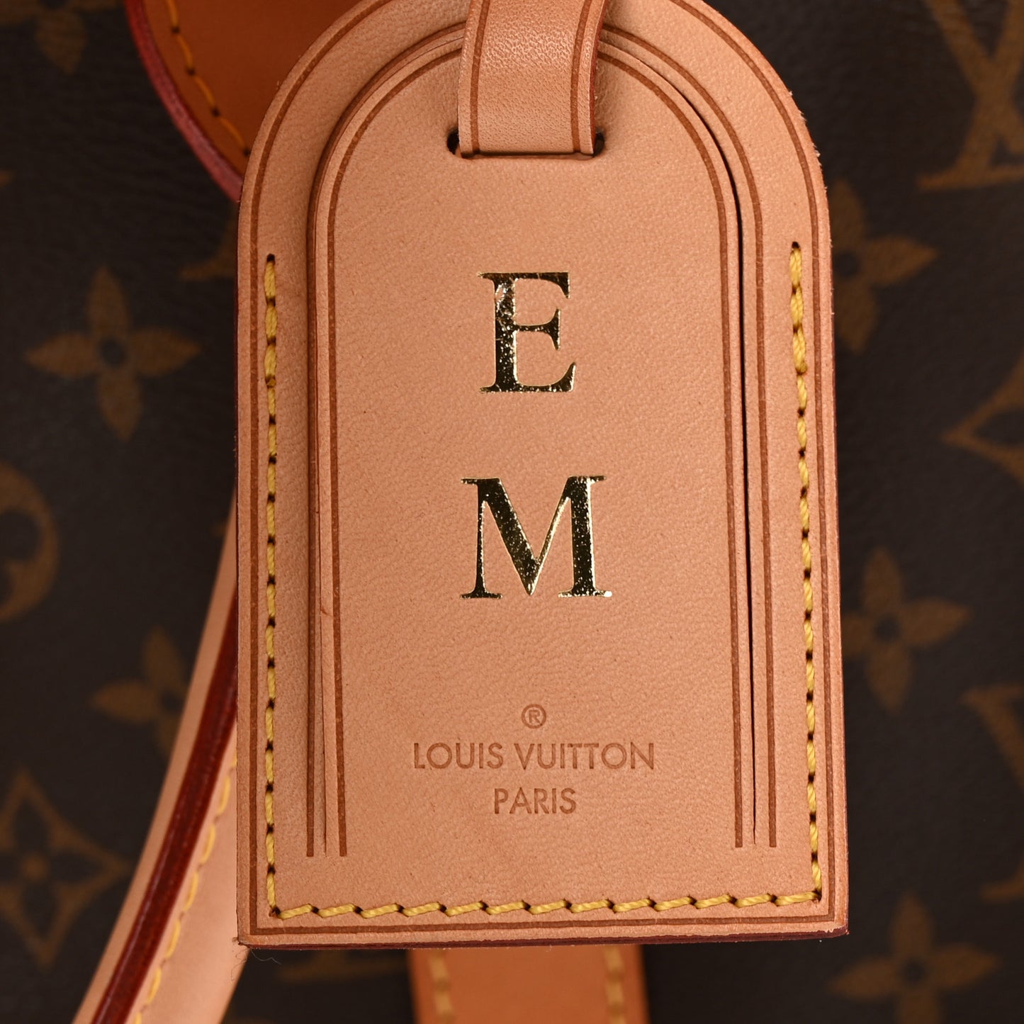 Monogram Sac Chien 40 Pet Carrier