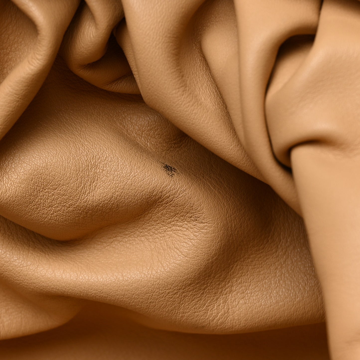 Smooth Butter Calf The Pouch Oversized Clutch Almond