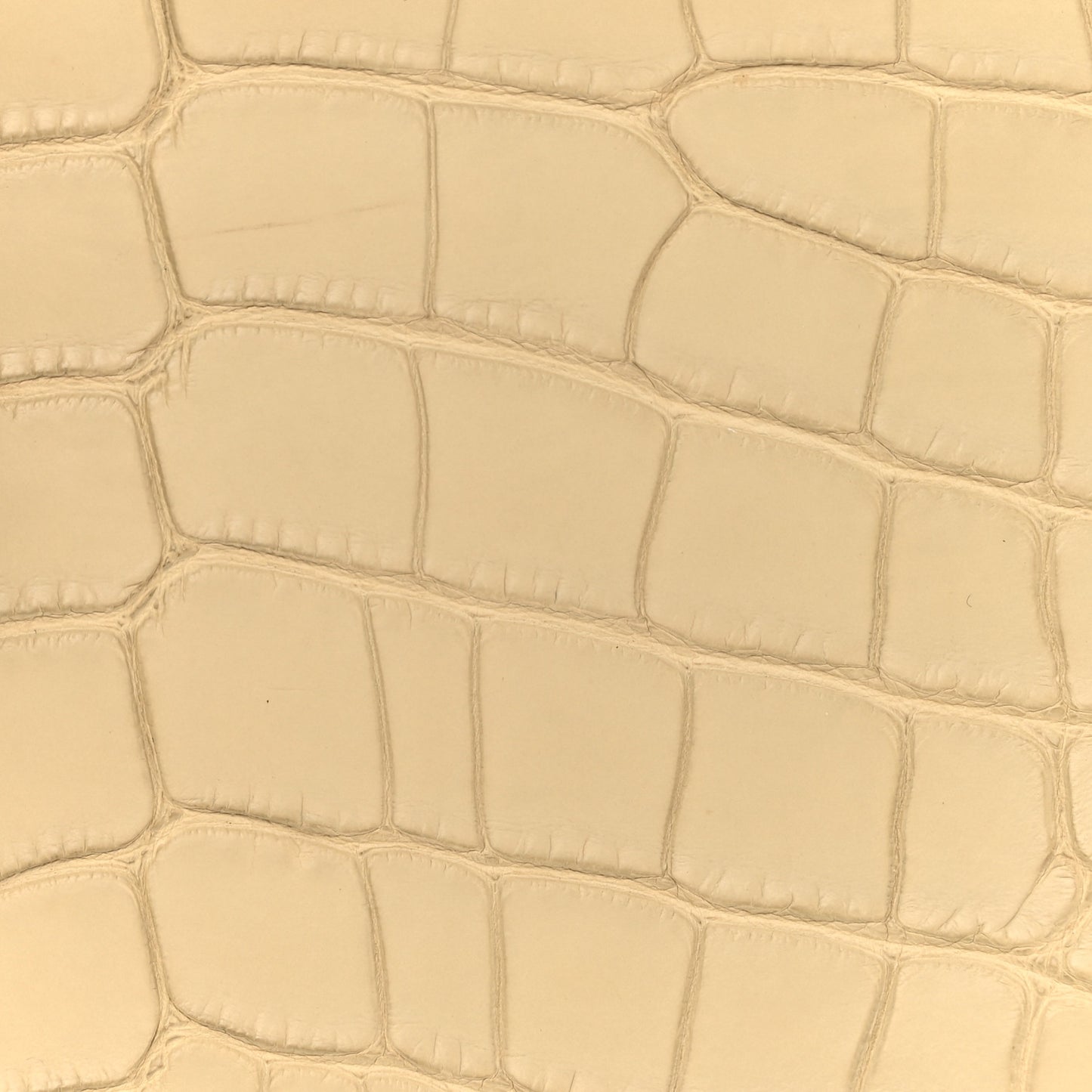 Matte Alligator Birkin 30 Trench