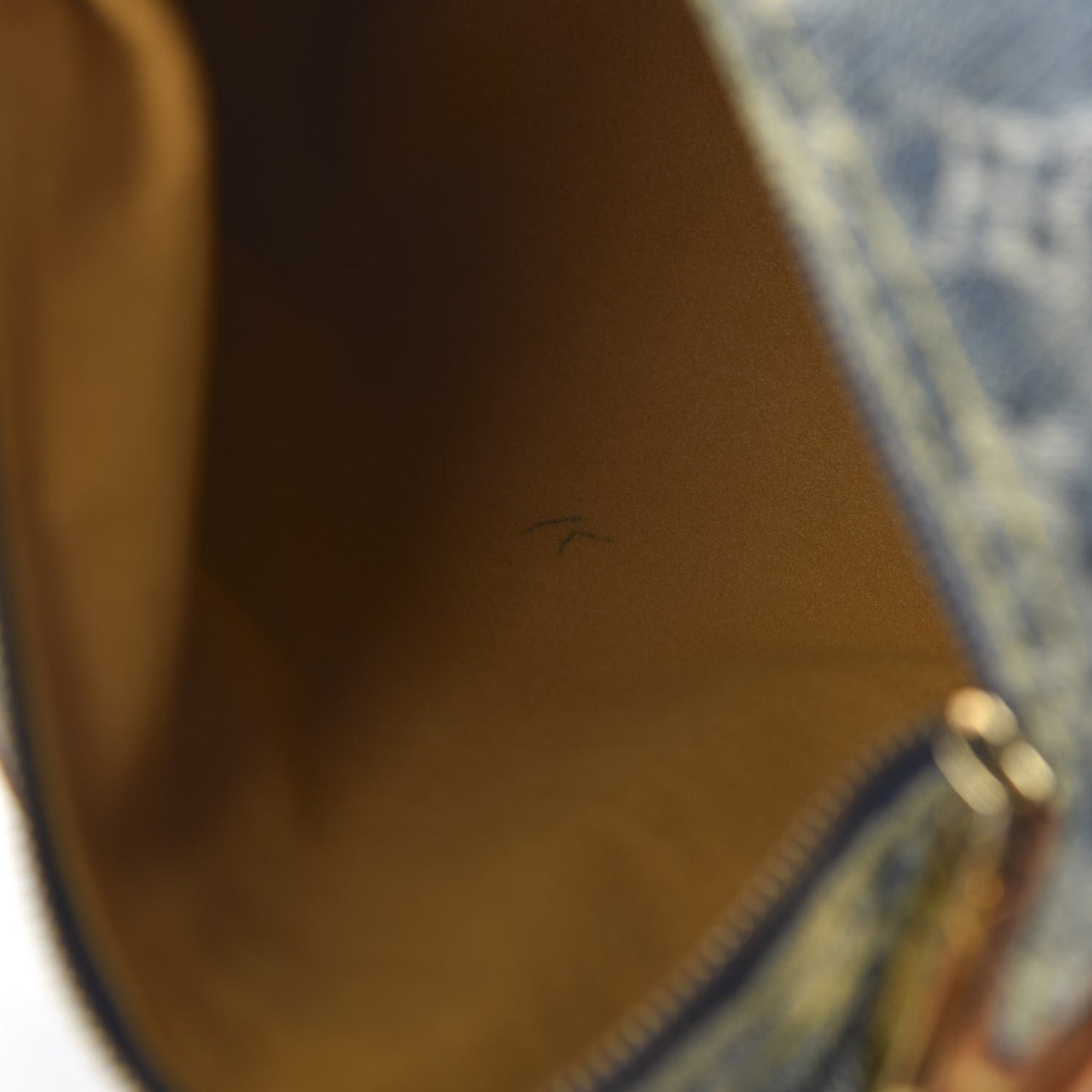 Monogram Denim Baggy PM Blue