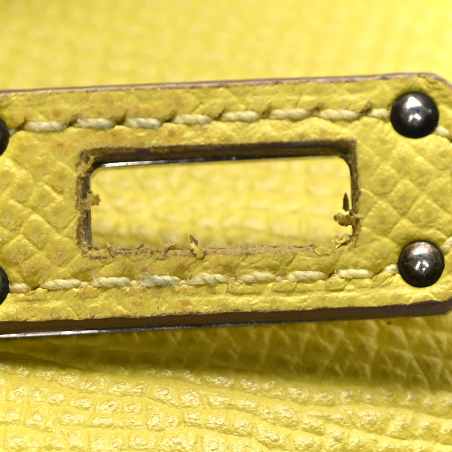 Epsom Medium Kelly Wallet Lime
