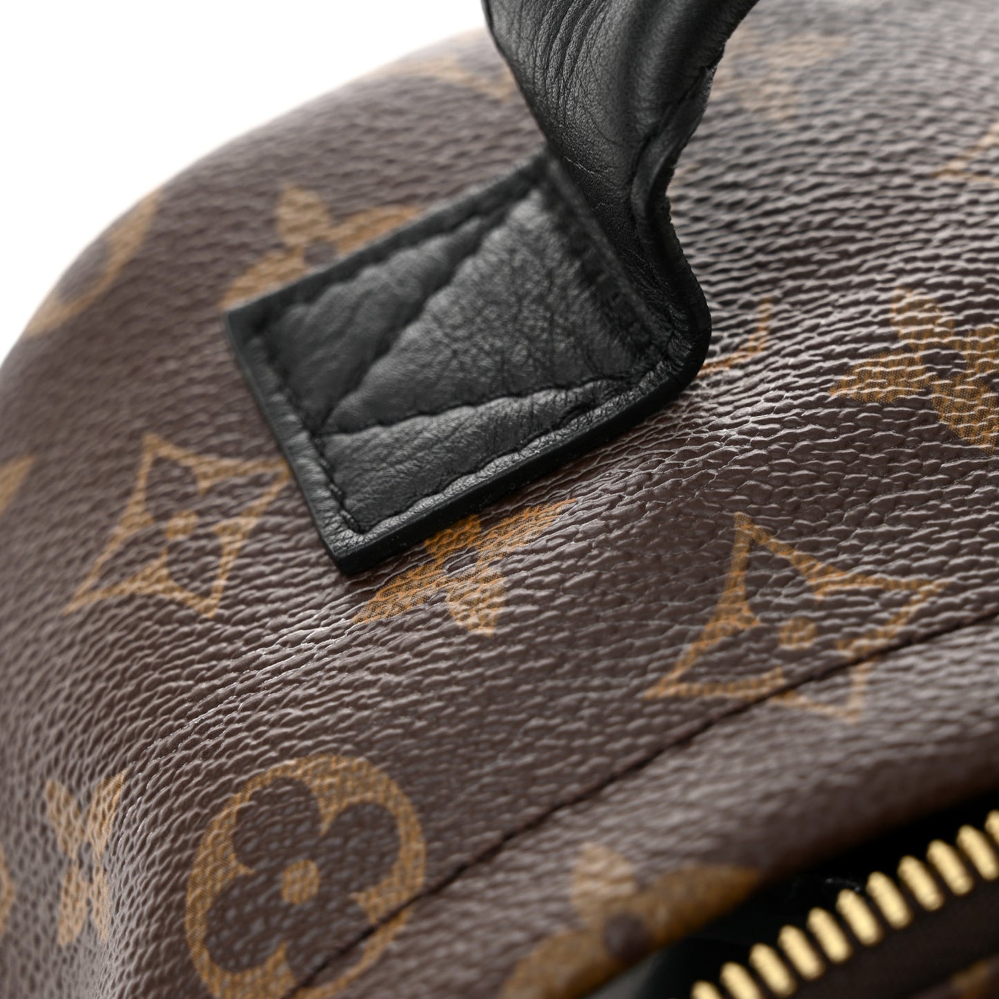 Reverse Monogram Palm Springs Backpack PM