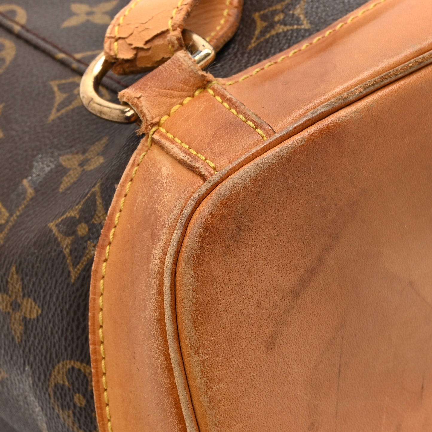 Monogram Montsouris GM Backpack