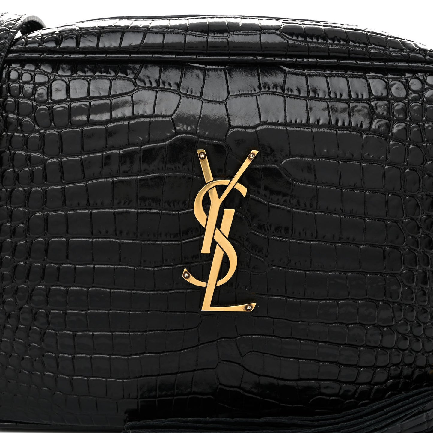 Patent Calfskin Crocodile Embossed Monogram Lou Camera Bag Black