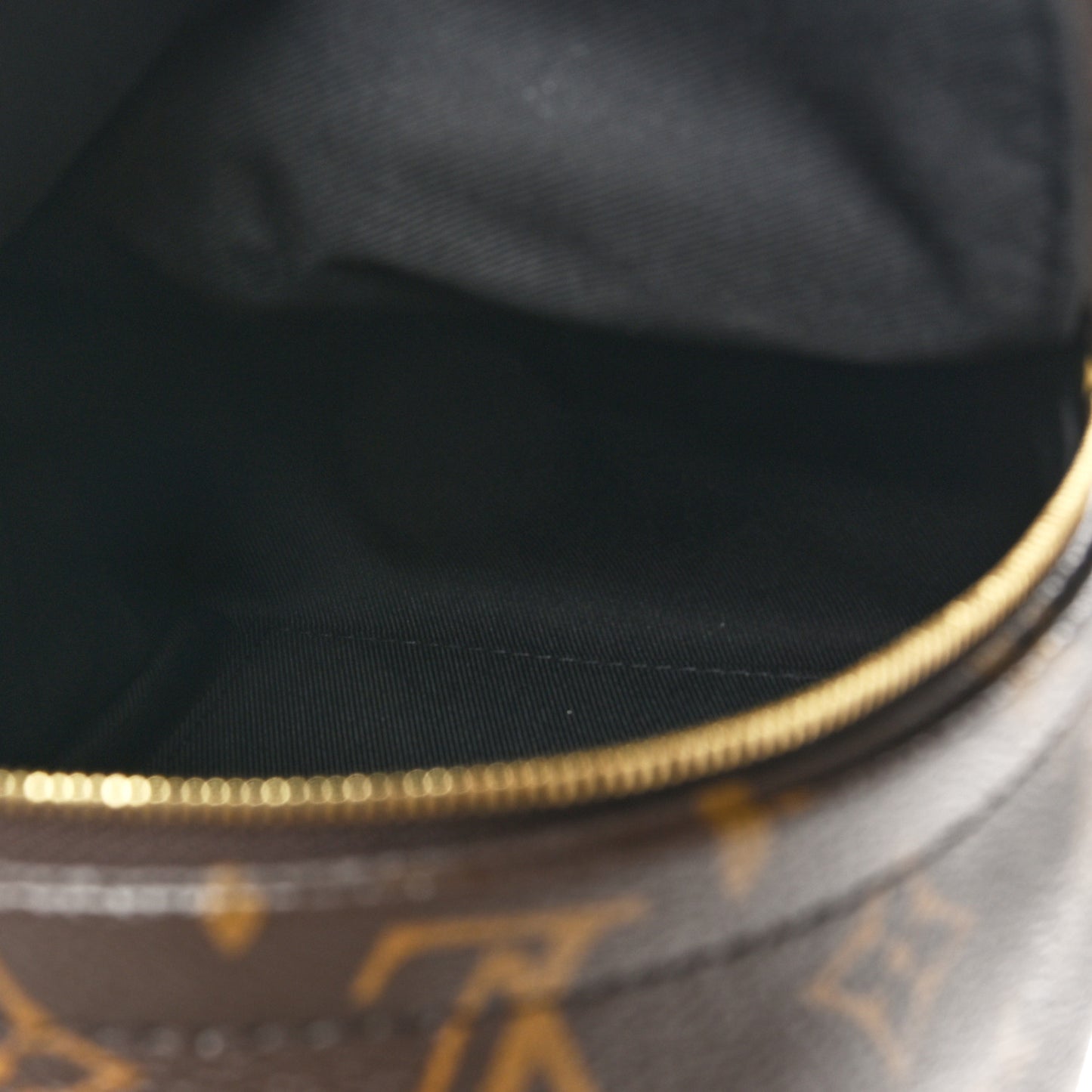 Monogram Palm Springs Backpack Mini