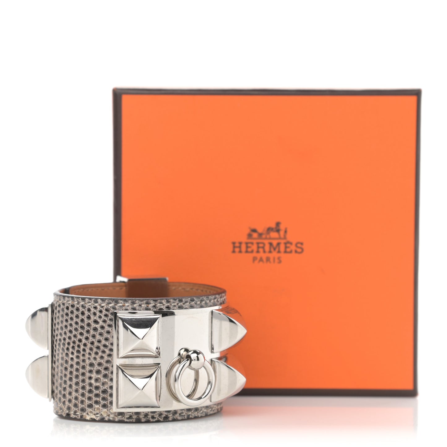 Lizard Collier De Chien CDC Bracelet T1 Ombre