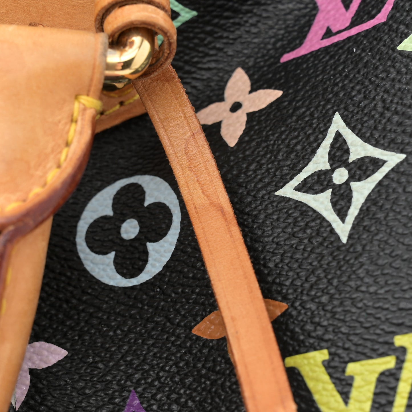 Monogram Multicolor Speedy 30 Black