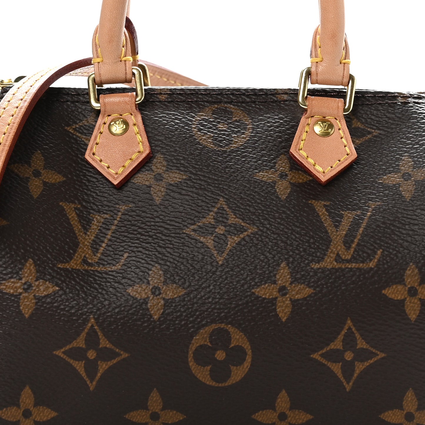Monogram Nano Speedy