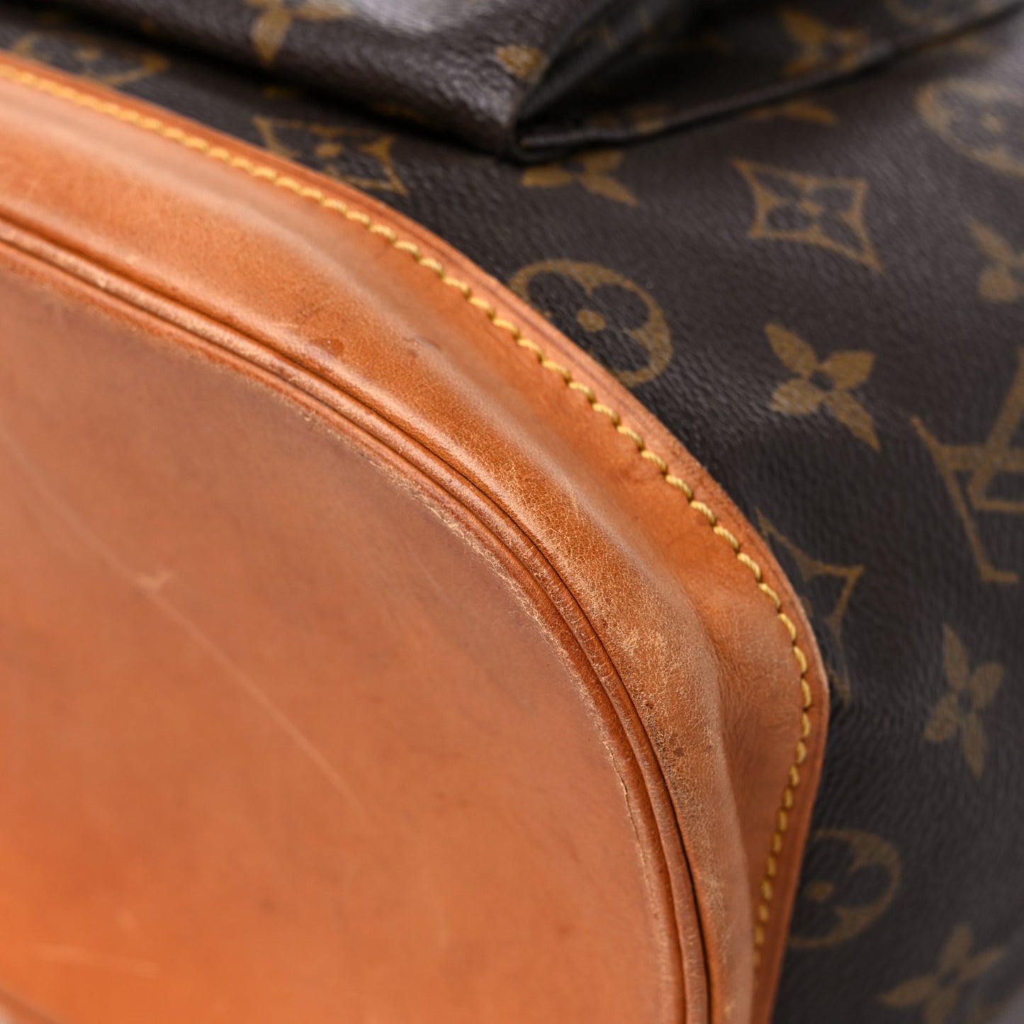Monogram Montsouris GM Backpack