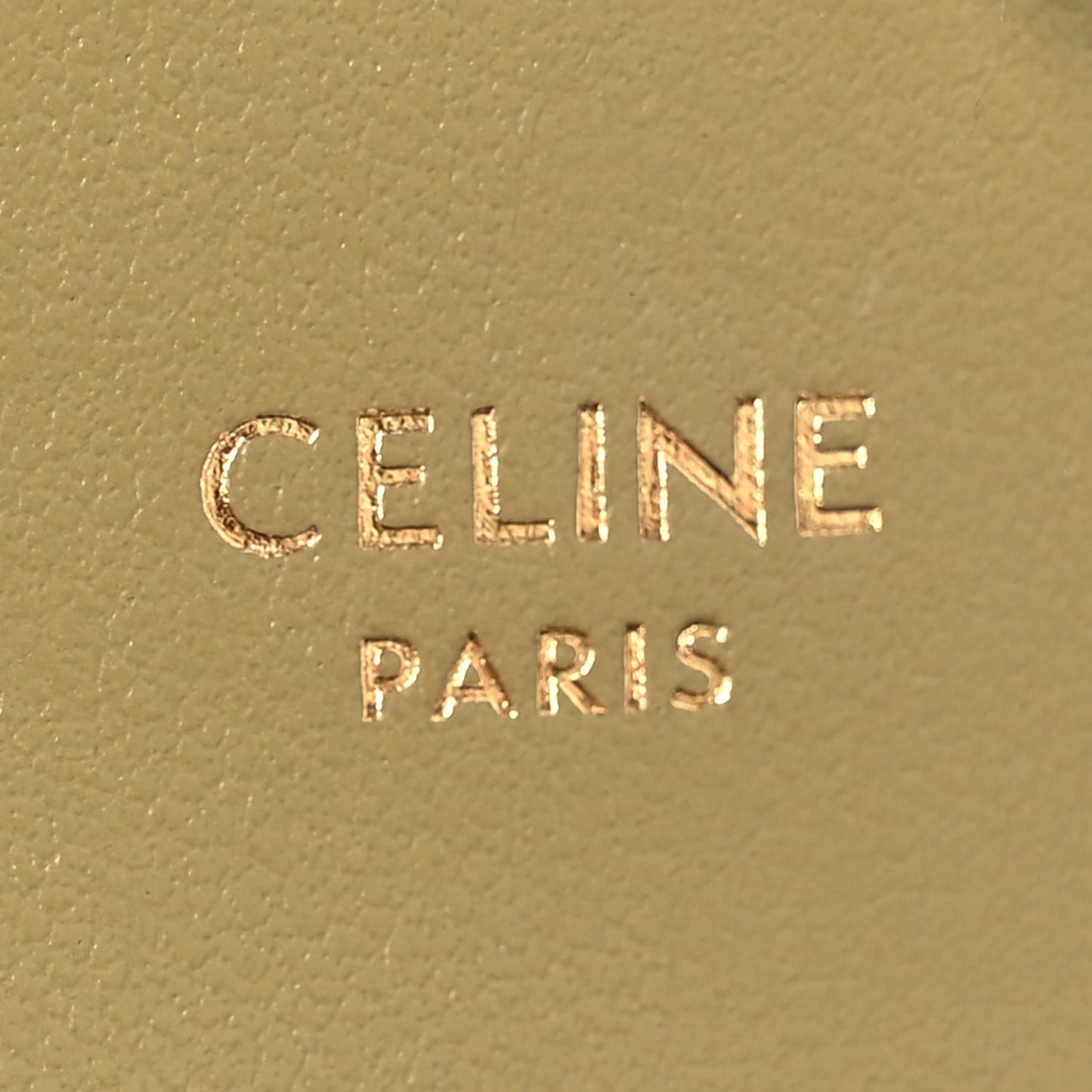 Shiny Calfskin Mini Triomphe Olive