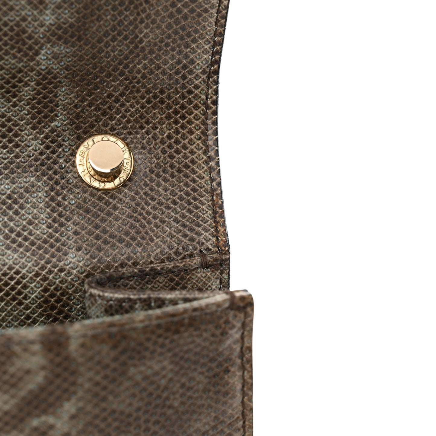 Karung Serpenti Forever Crossbody Mint