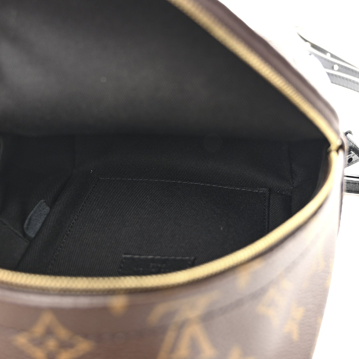 Monogram Palm Springs Backpack Mini