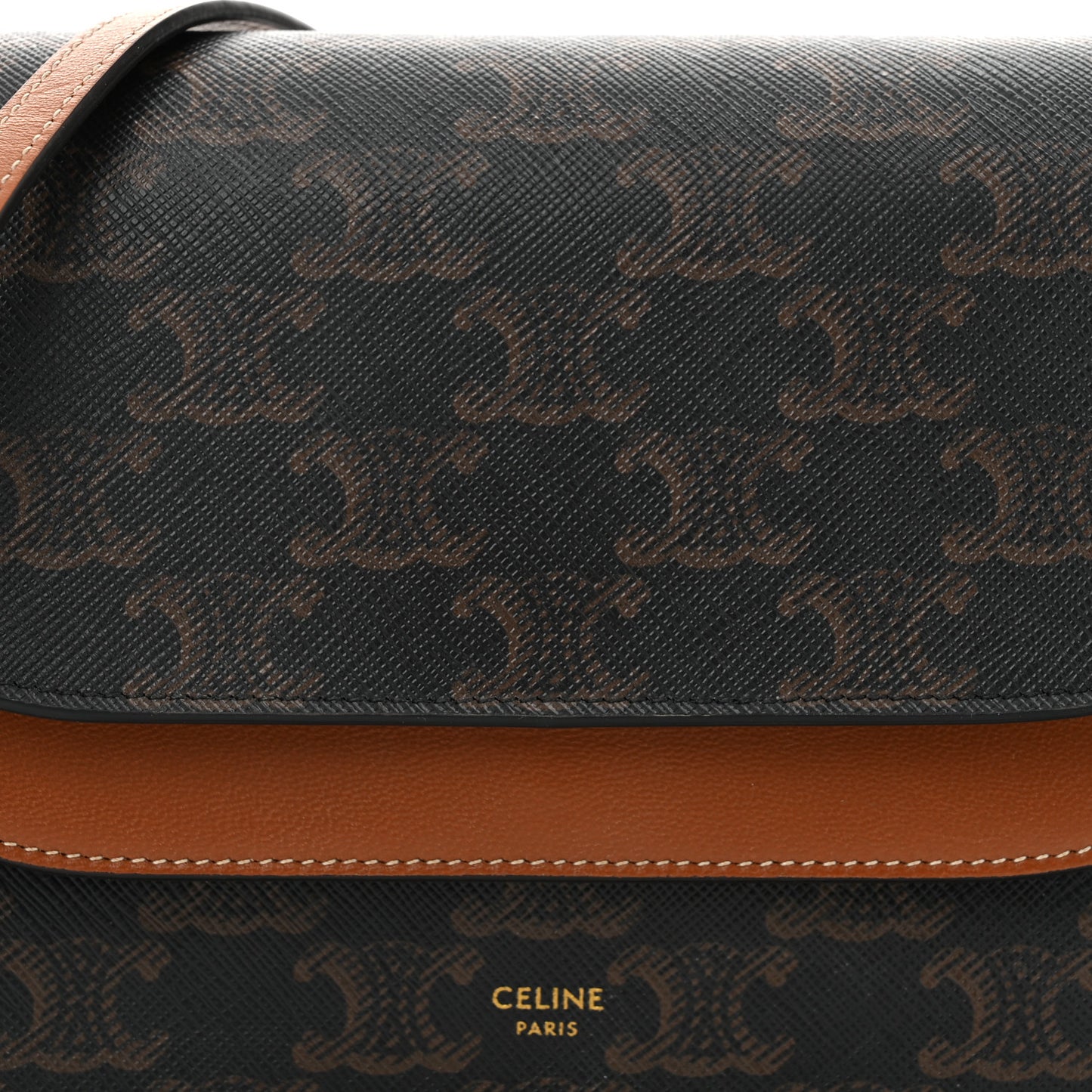 Triomphe Canvas Lambskin Wallet On Strap Tan