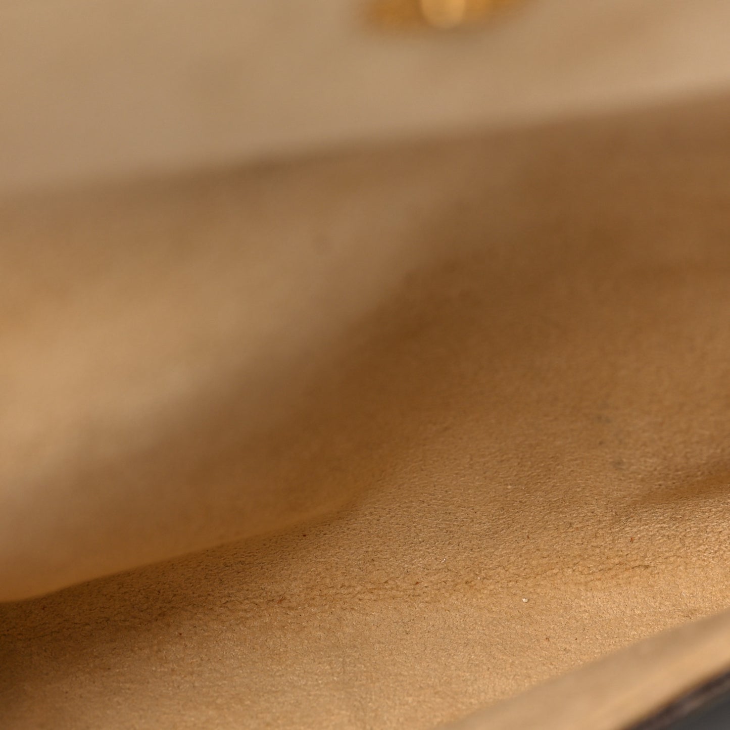 Monogram Pochette Twin PM