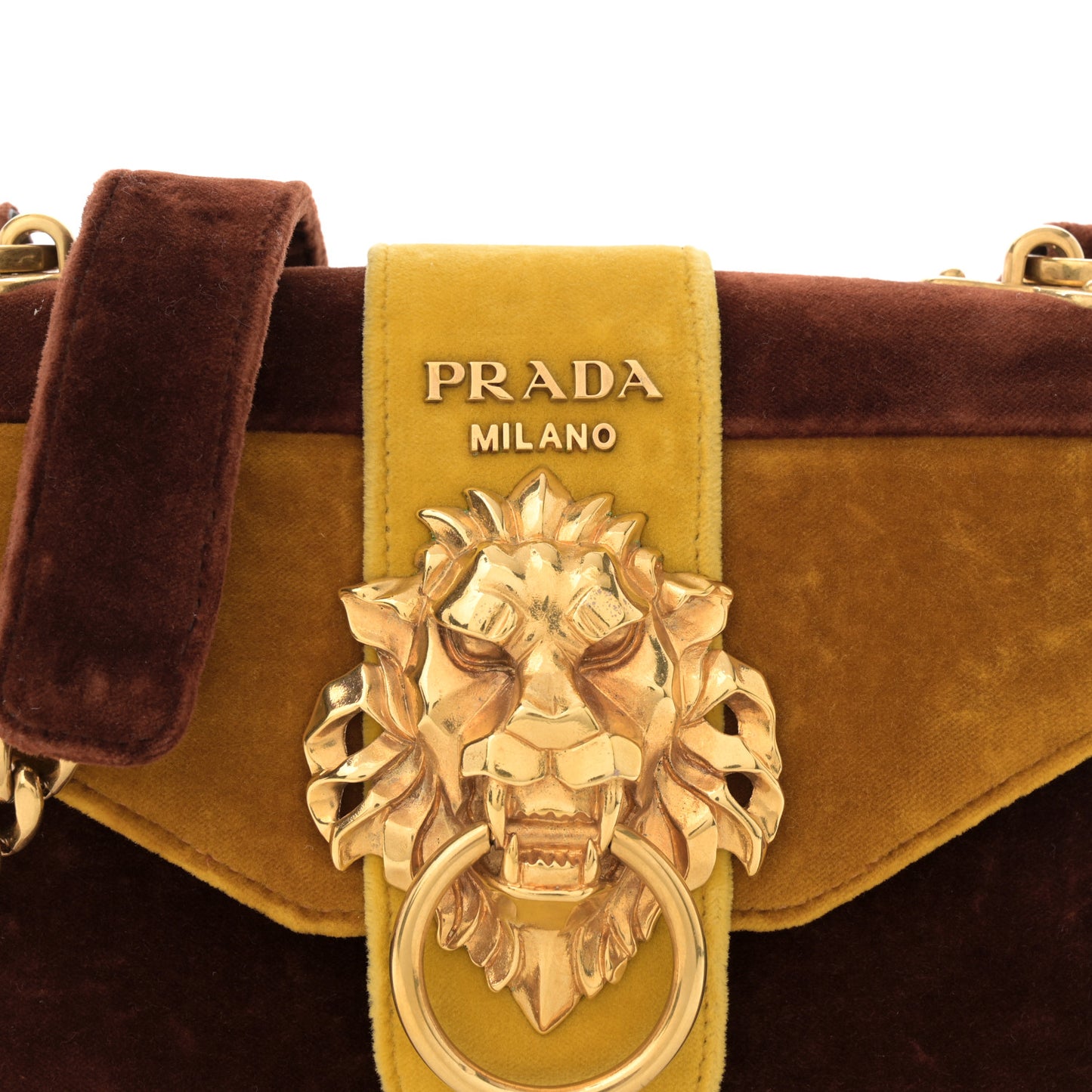 Velluto Lions Head Cahier Shoulder Bag Ambra