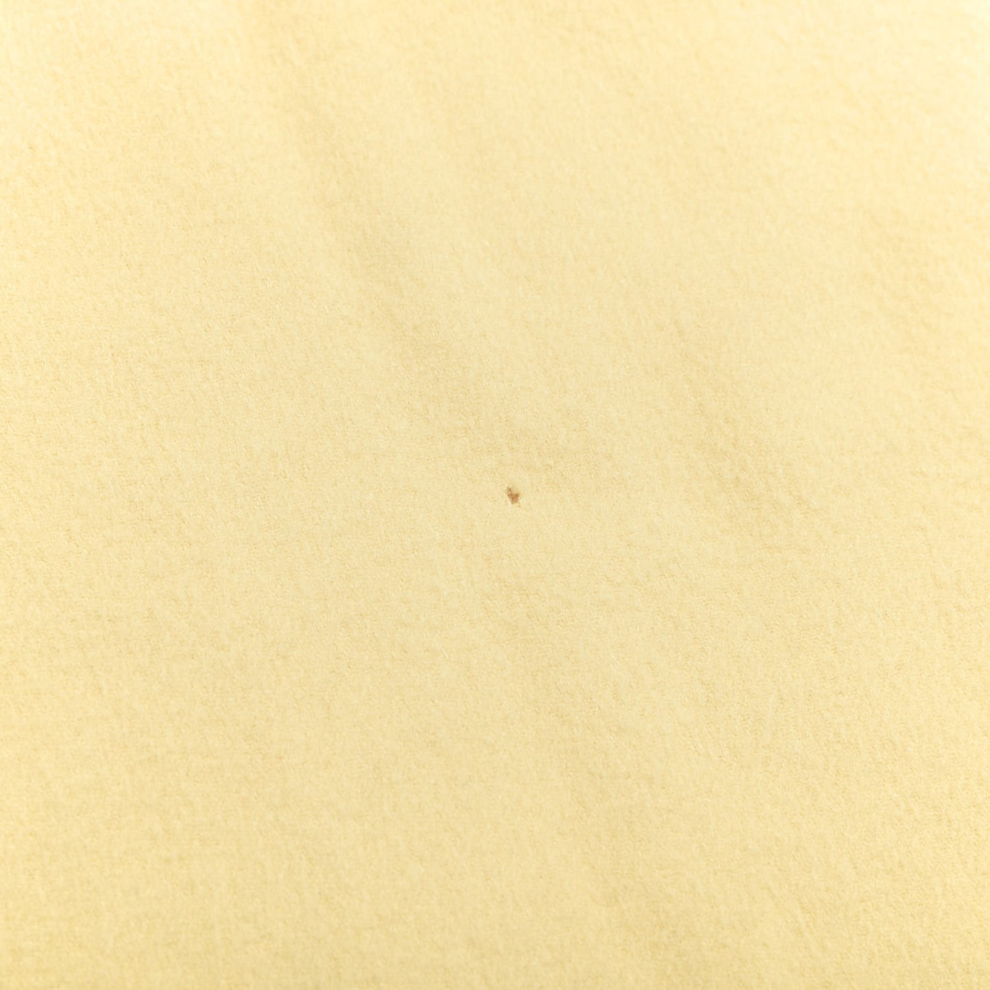 Cashmere Fringe Stole