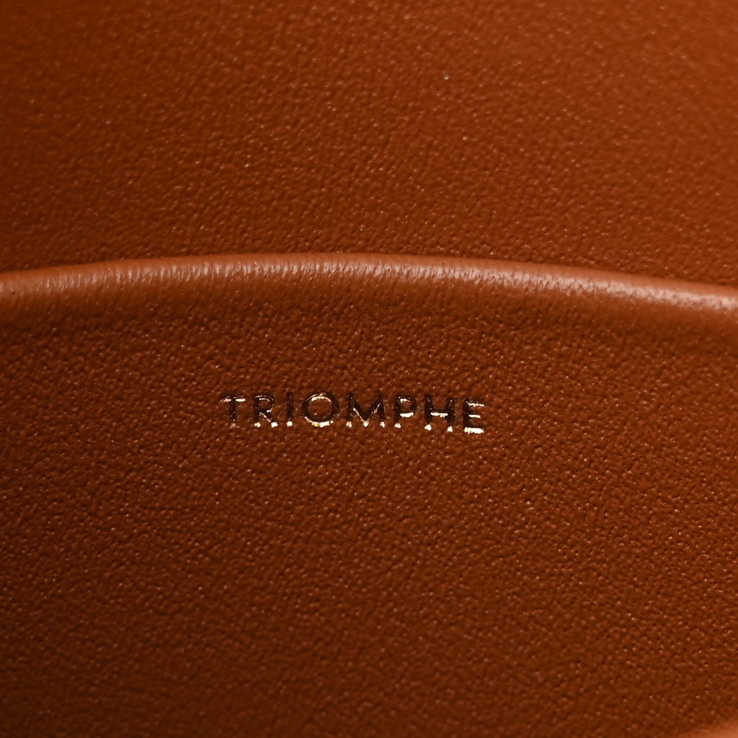 Canvas Calfskin Triomphe Medium Triomphe Bag Natural Tan