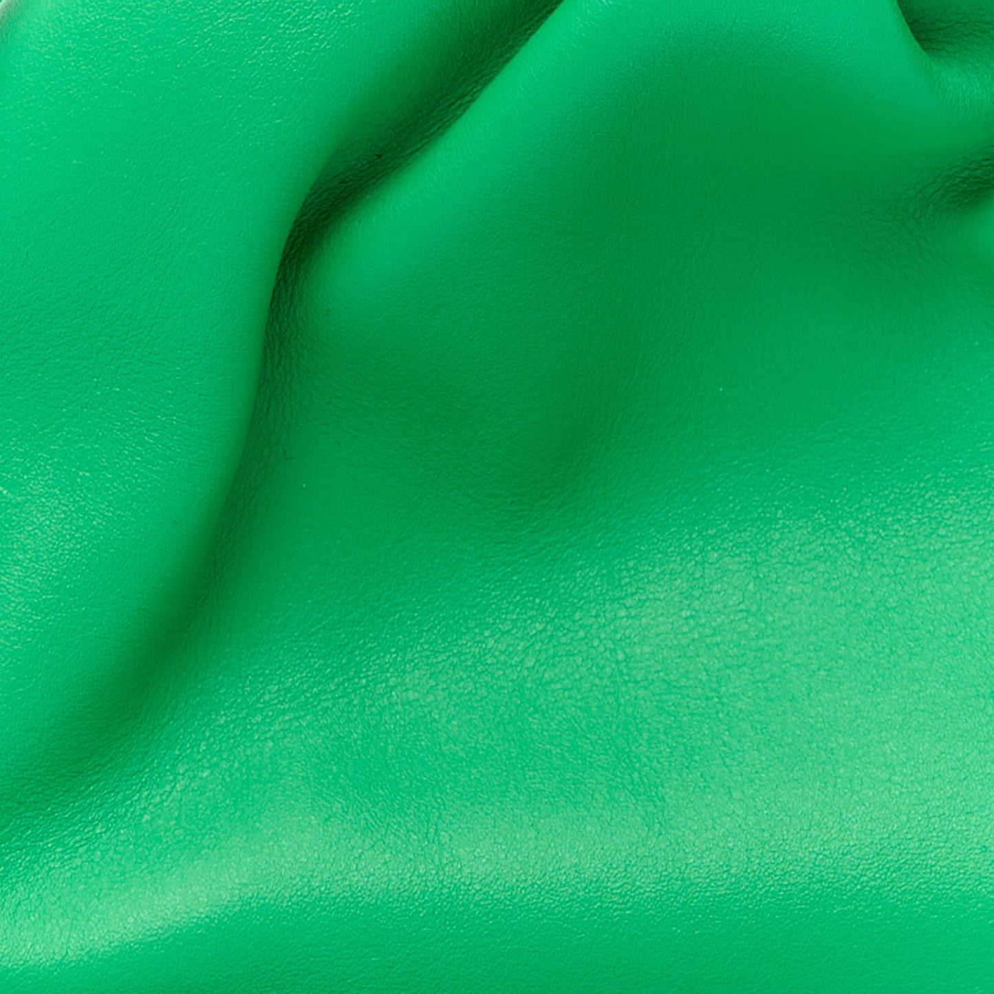 Butter Calfskin The Mini Pouch Parakeet