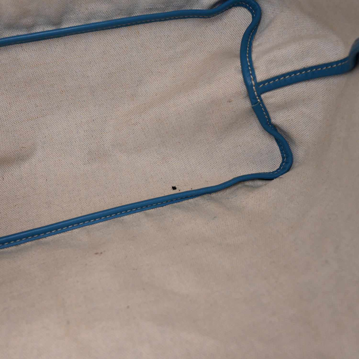 Goyard Goyardine Saint Louis PM Sky Blue 11 of 19