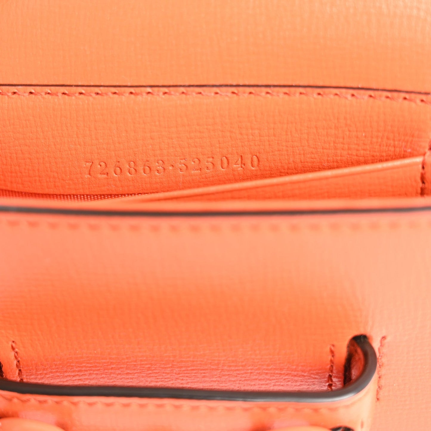 Azalea Calfskin Web Monochrome Horsebit 1955 Wallet On Strap Orange