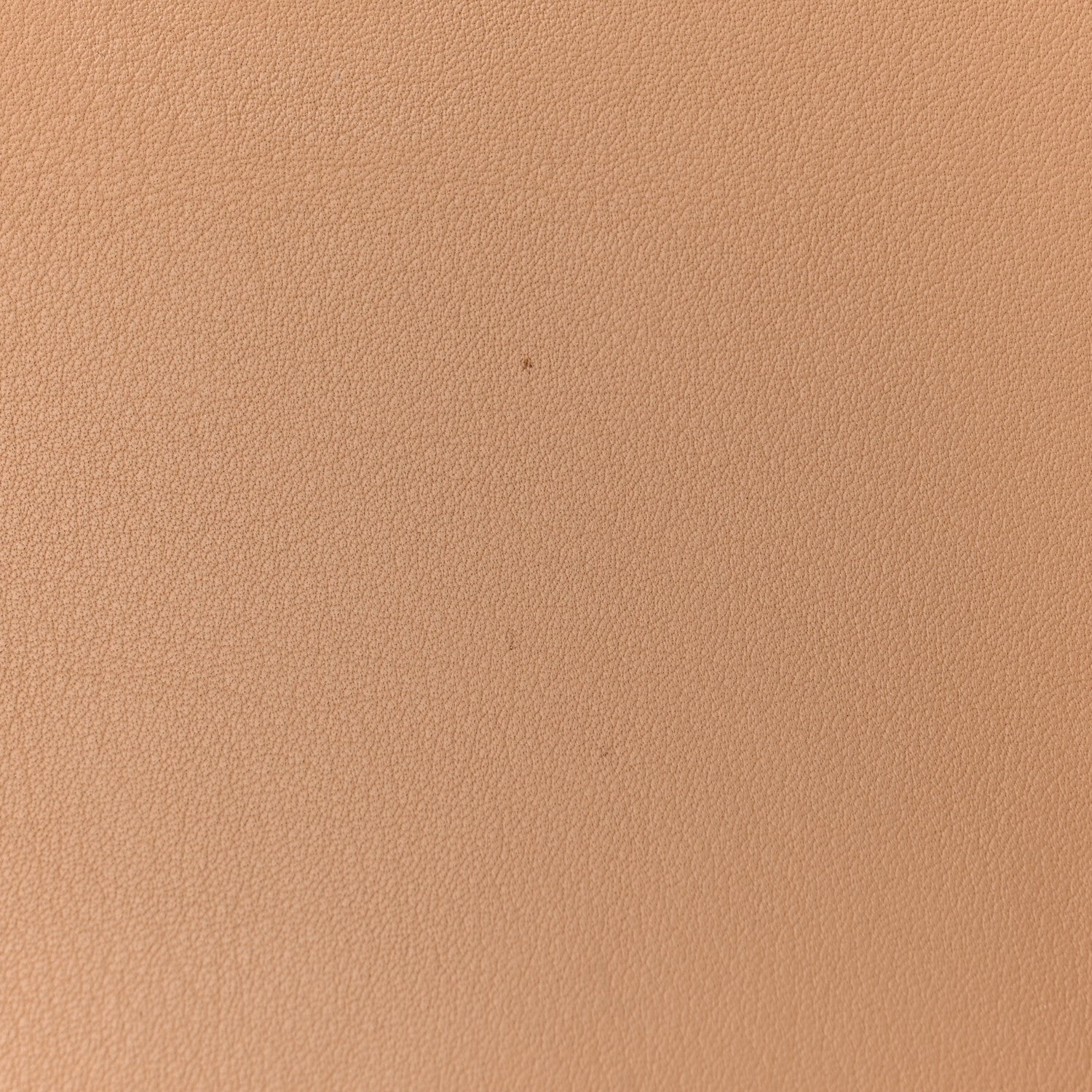 Fendi Vitello Dolce Petite 3Jours Tote Amido 11 of 12
