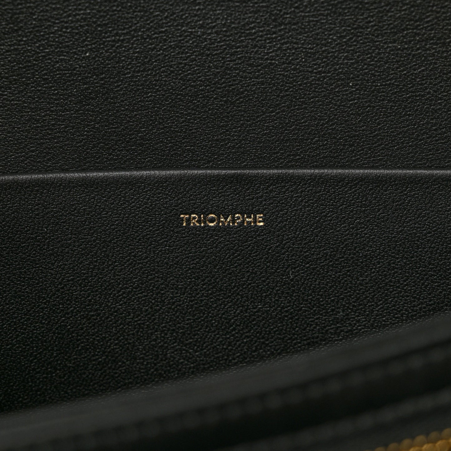 Shiny Calfskin Medium Triomphe Black