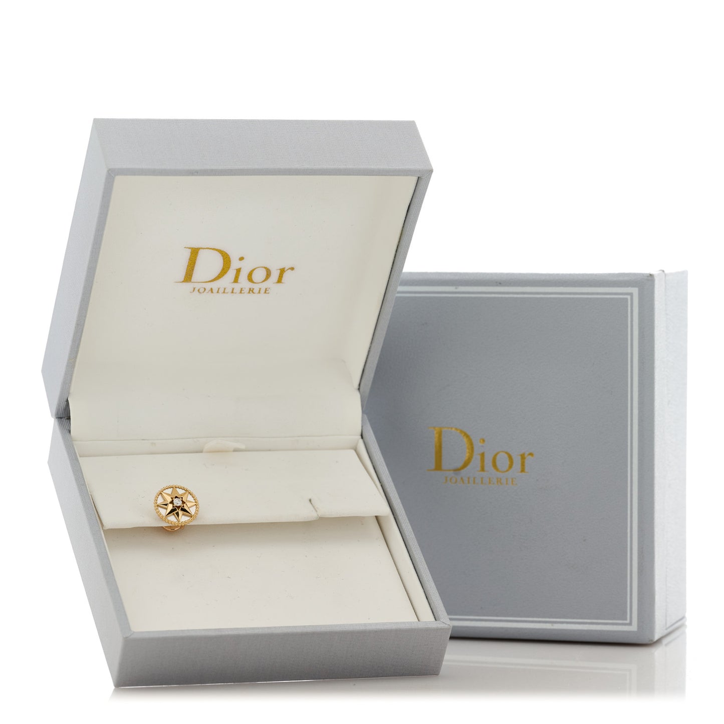 18K Yellow Gold Diamond Mother of Pearl Medium Rose Des Vents Single Earring