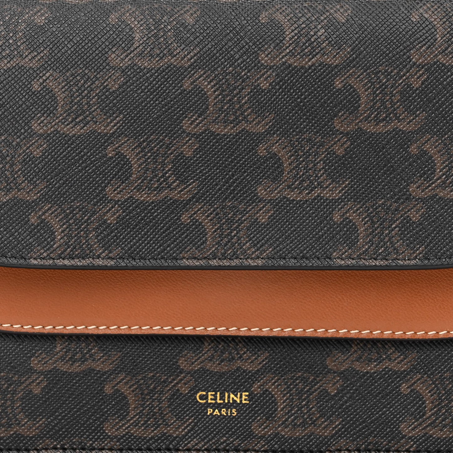 Triomphe Canvas Lambskin Wallet On Strap Tan