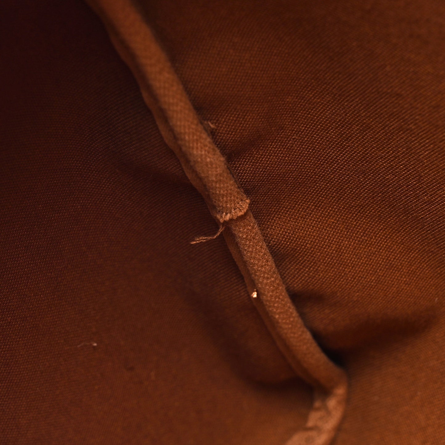 Monogram Sac Flanerie 45