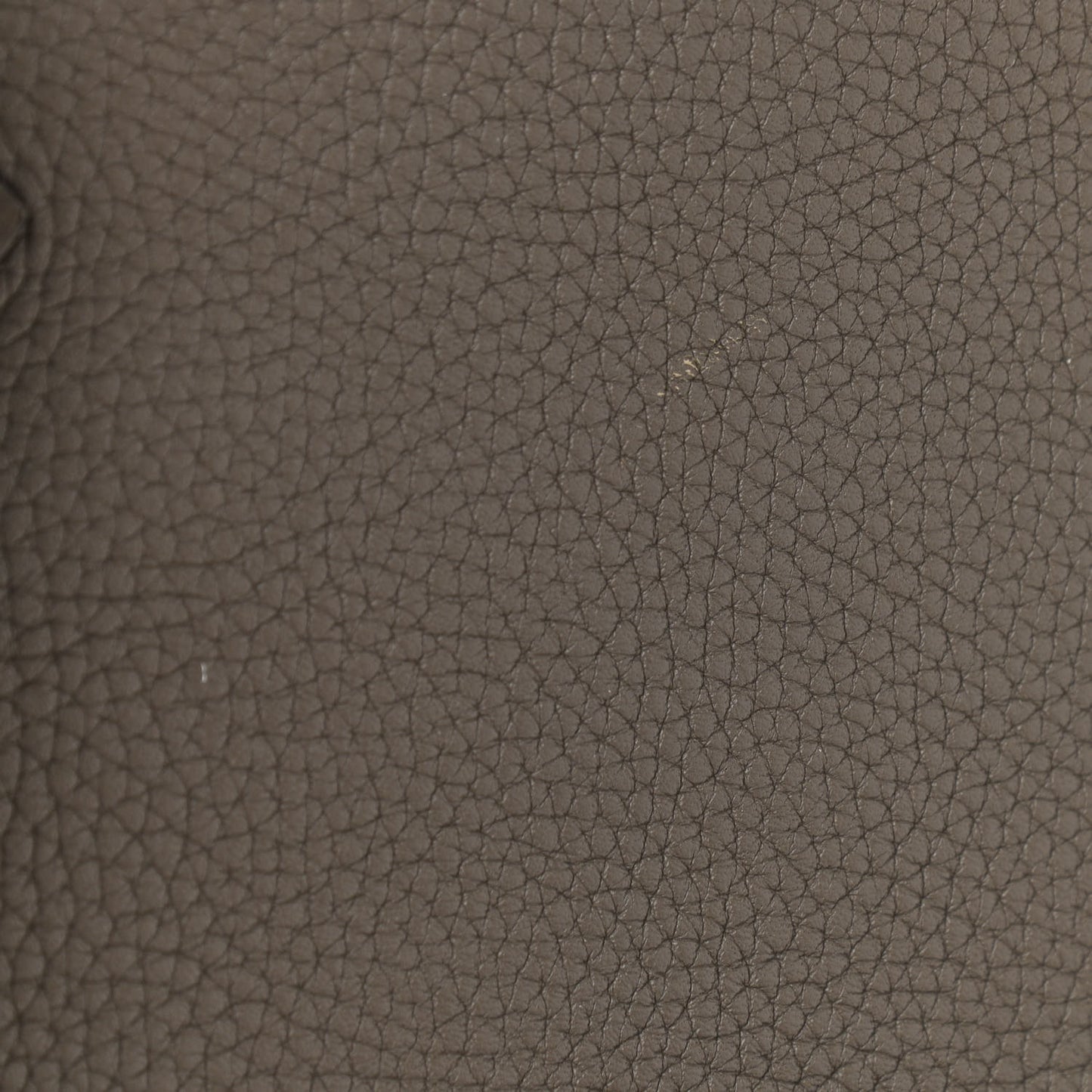 Taurillon Clemence Kelly Retourne 28 Etain