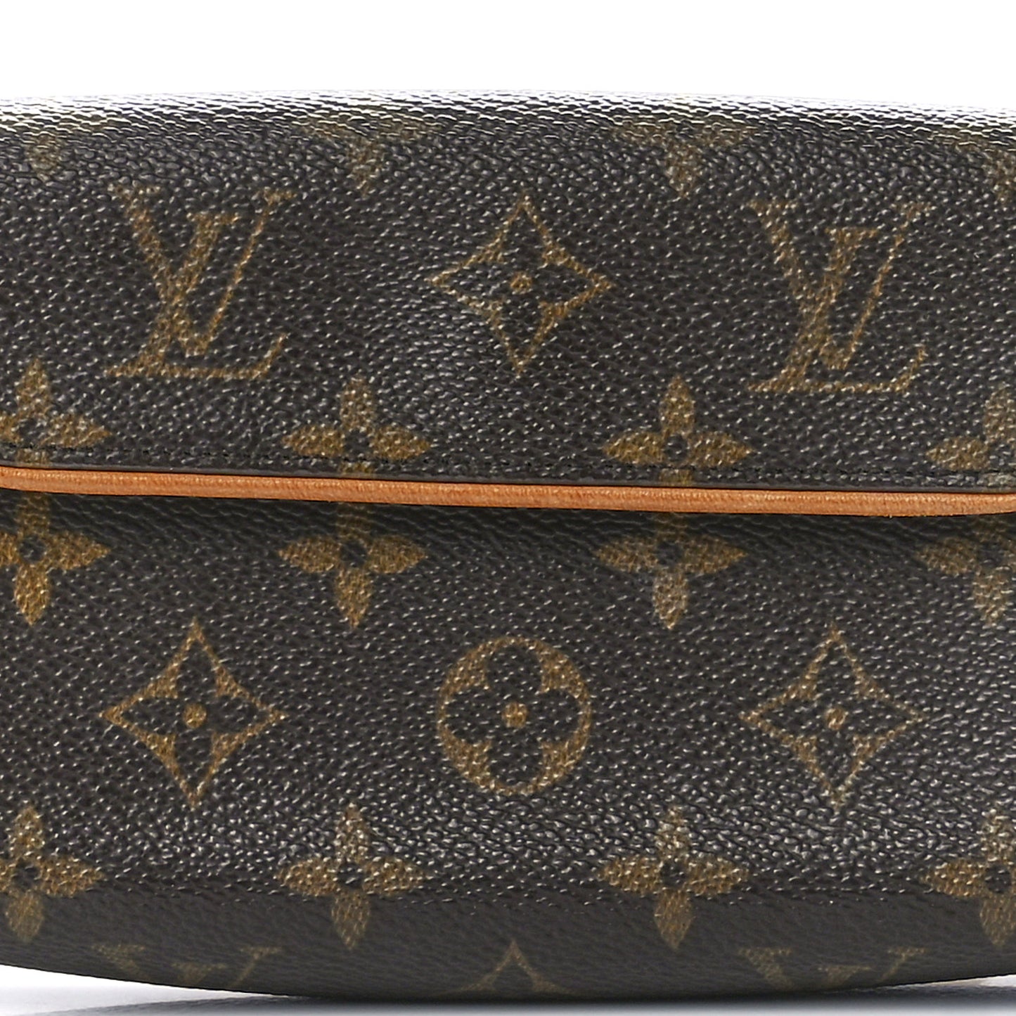 Monogram Pochette Florentine M