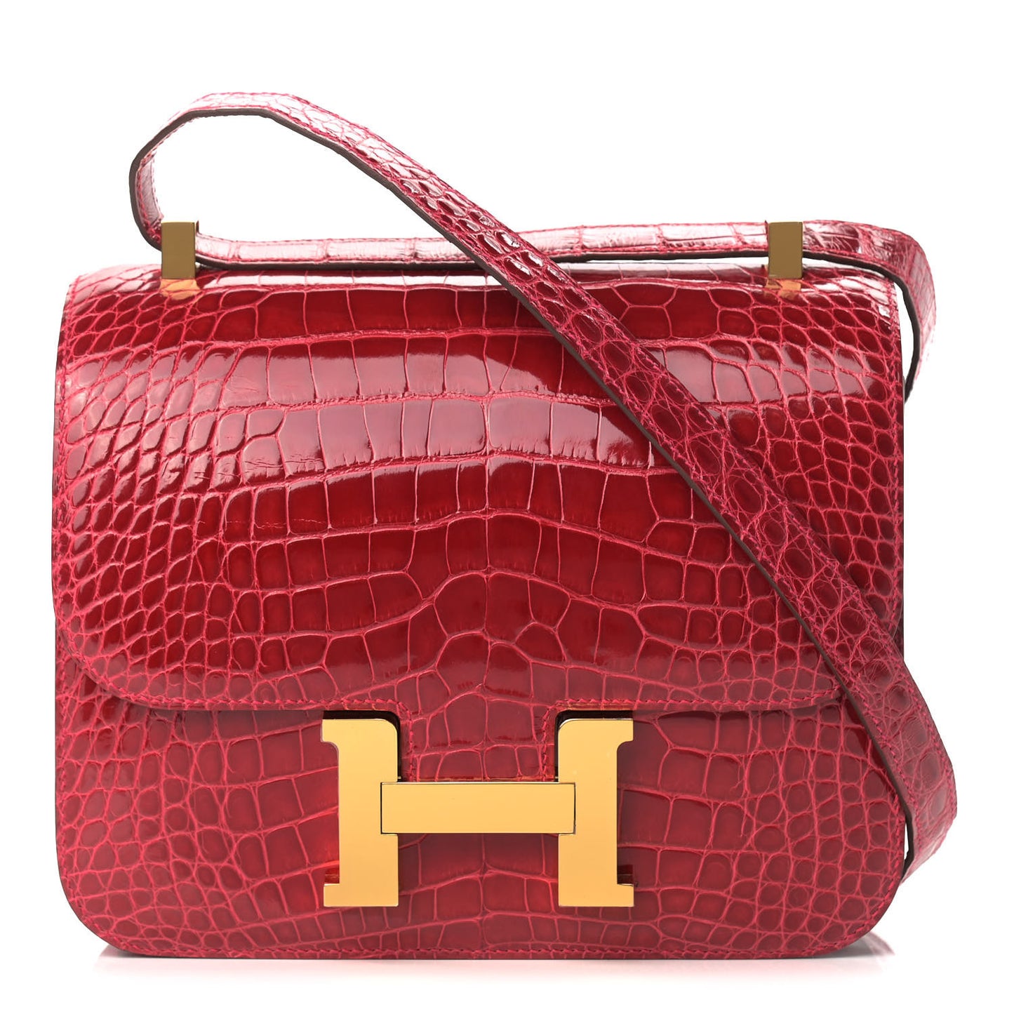 Shiny Alligator Constance 24 Braise