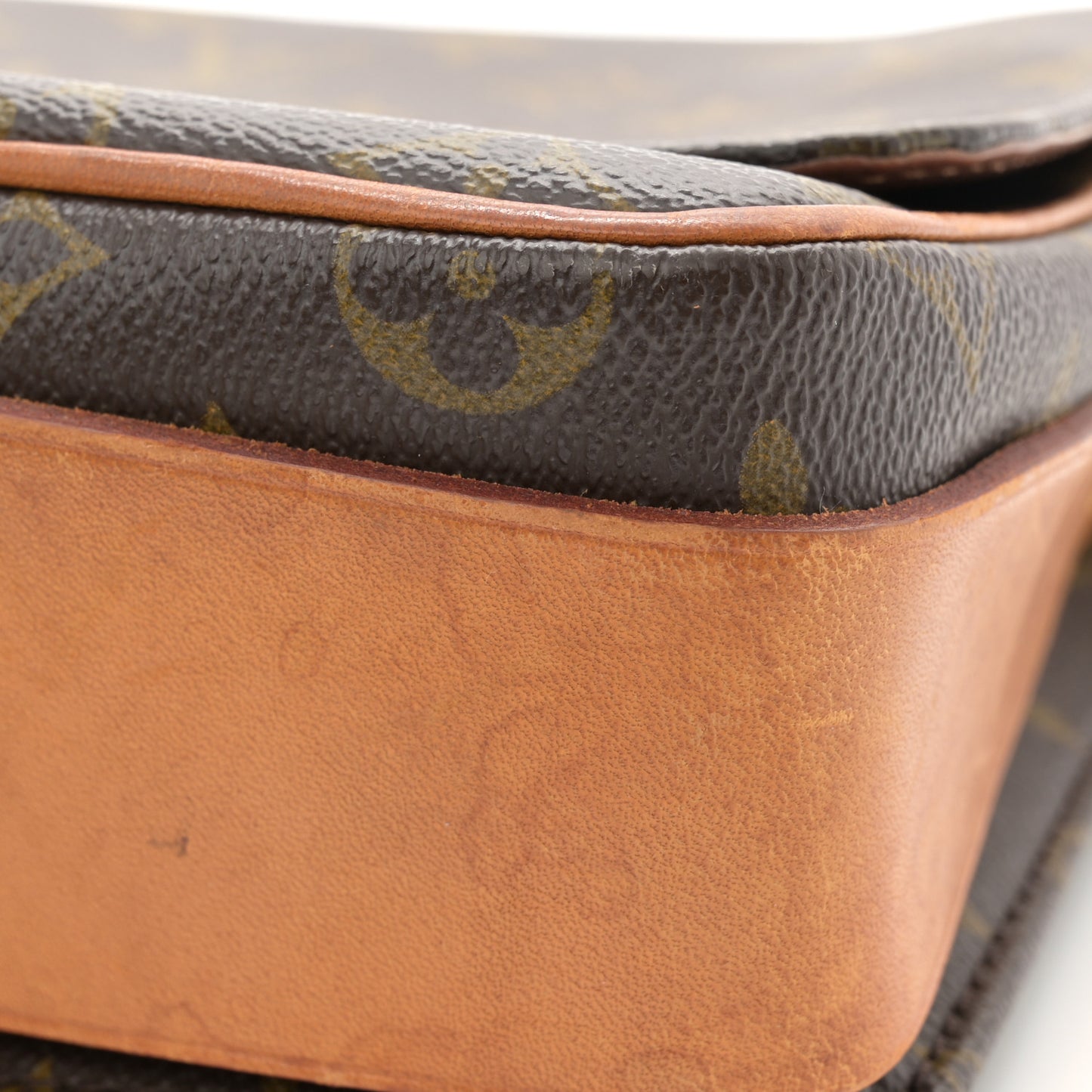Monogram Cartouchiere 22