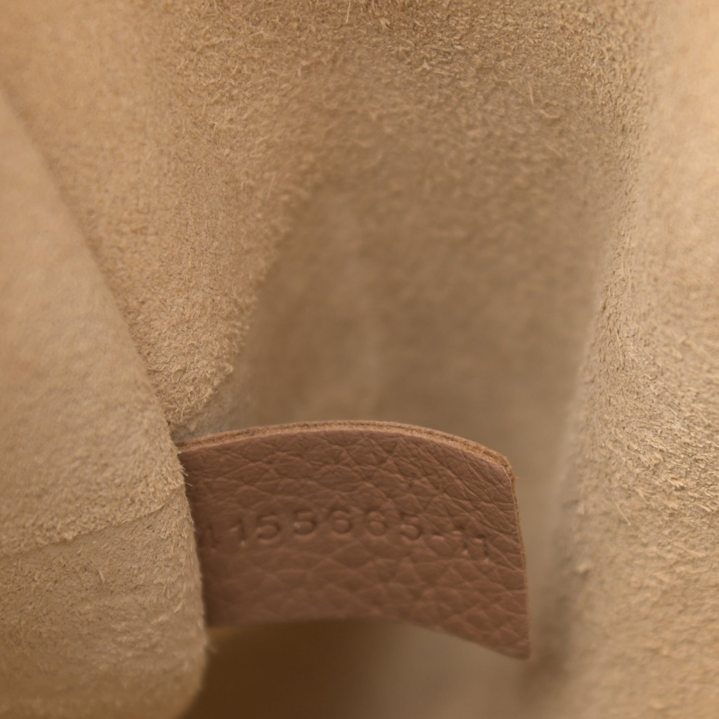 Grained Calfskin Small Hayley Hobo Nut