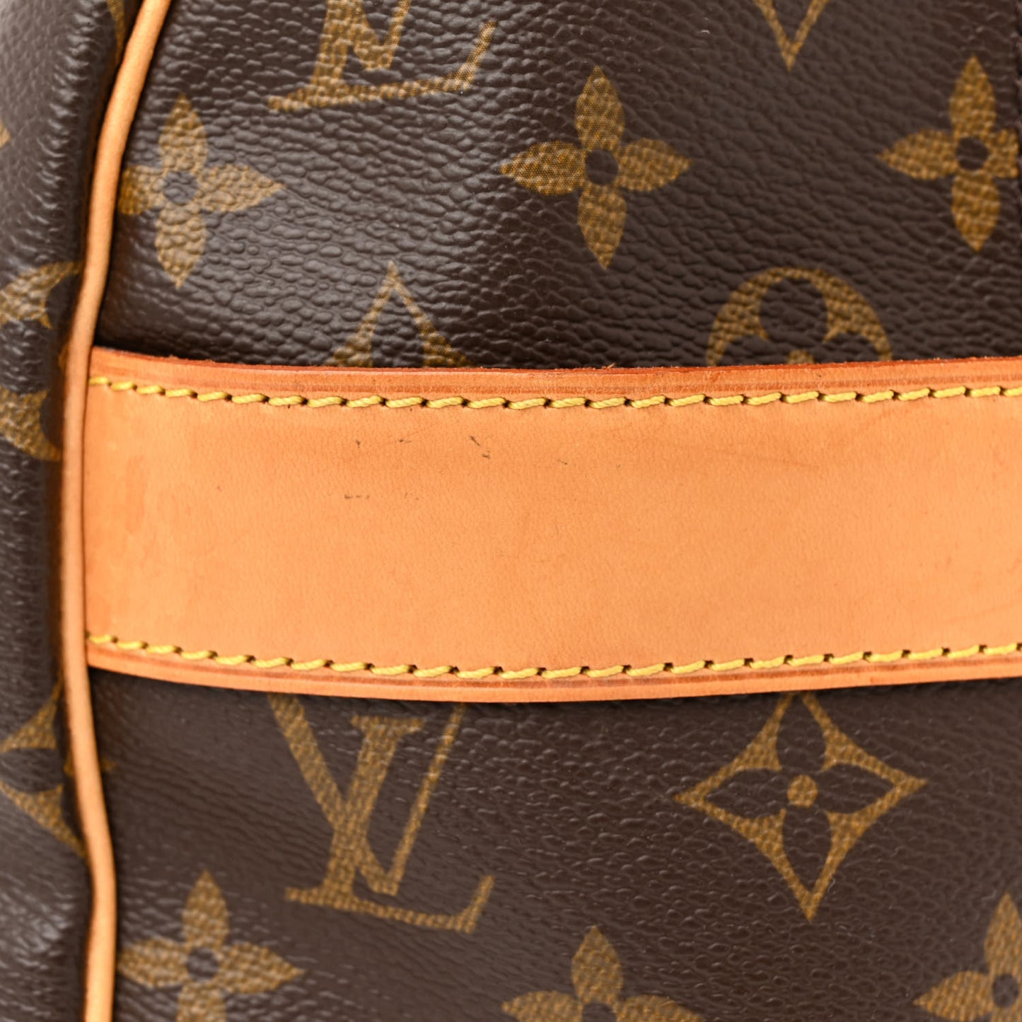 Monogram Carryall