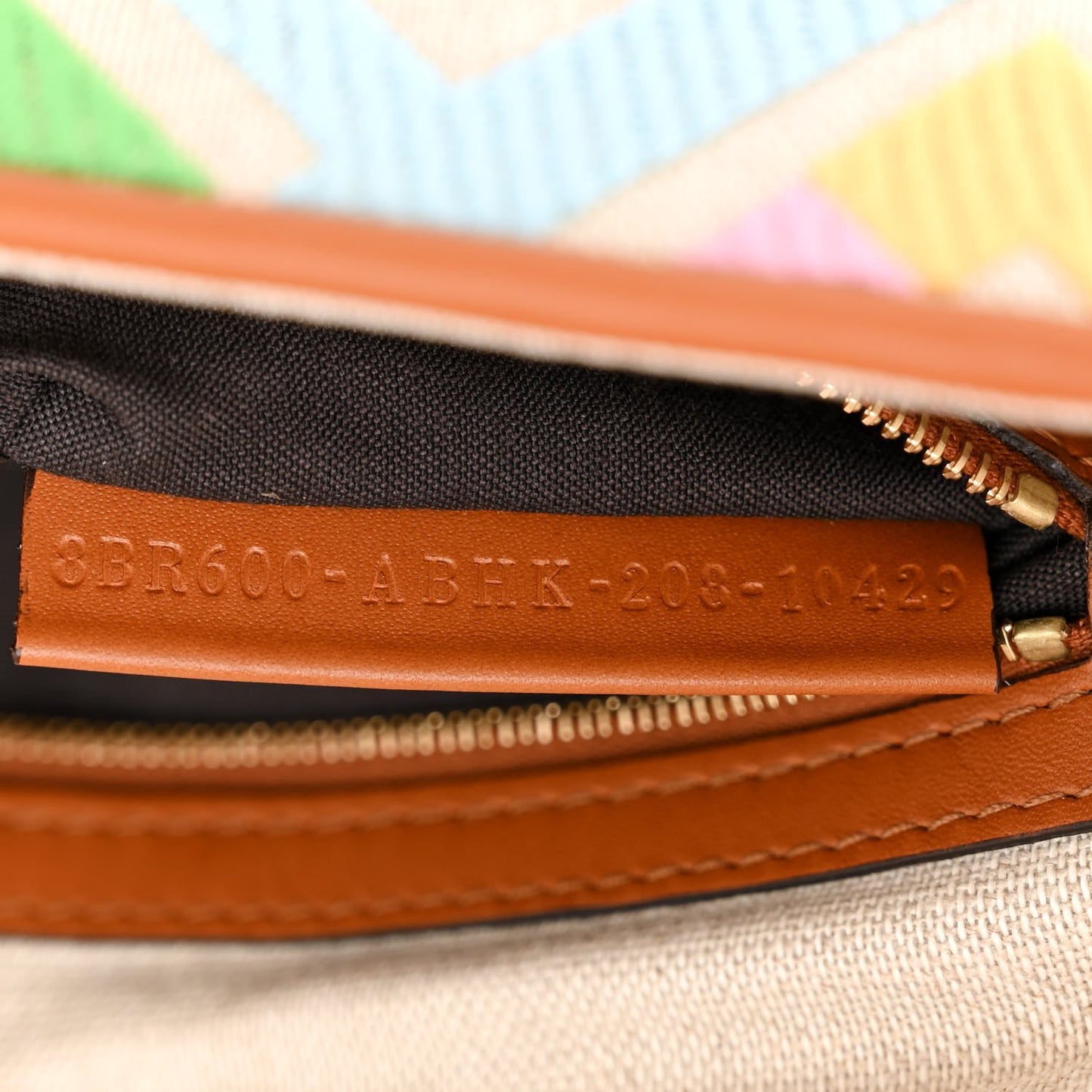 Kuban Canvas Vitello King FF Embroidered Baguette Grezzo Multicolor